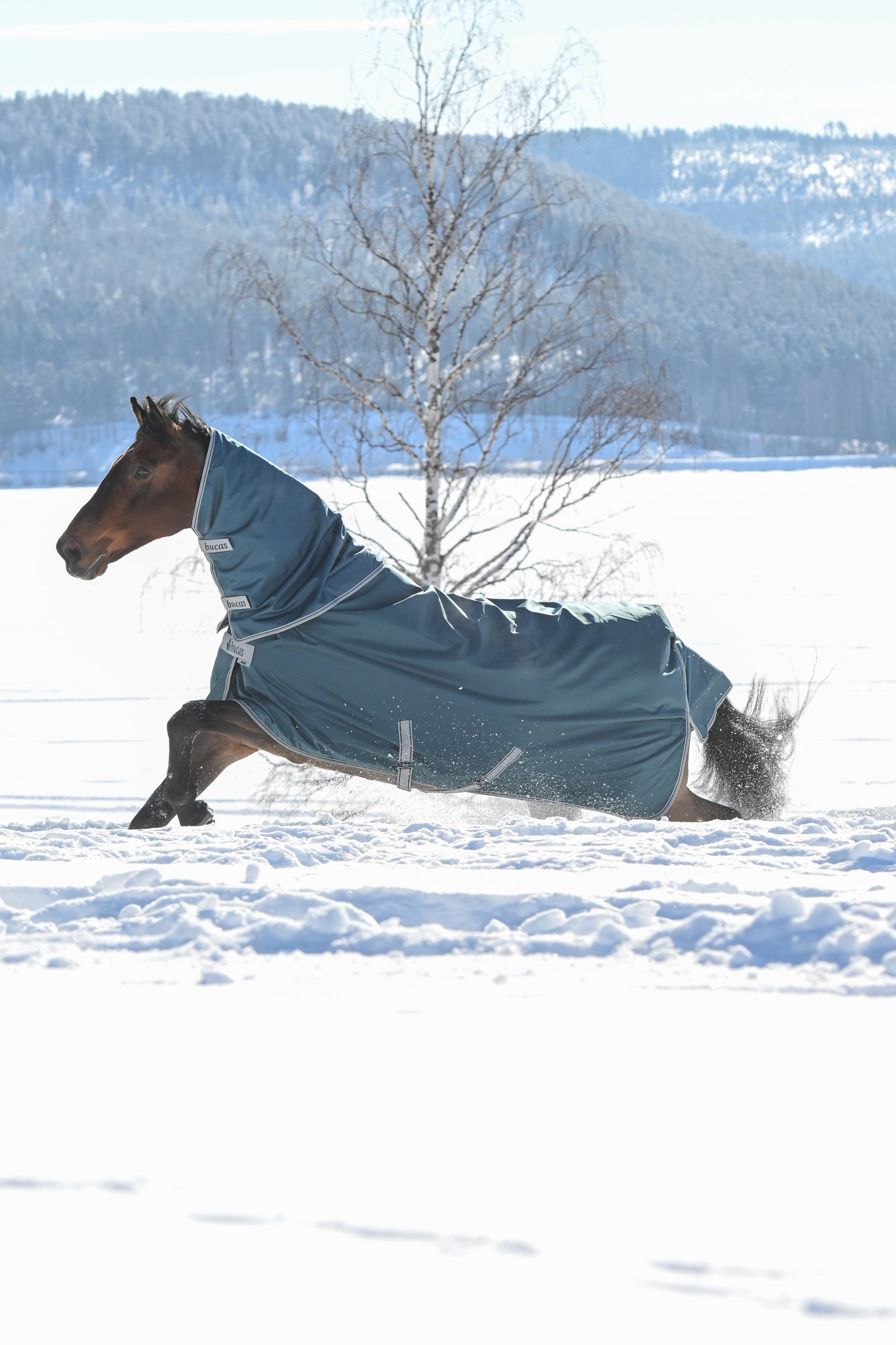Bucas Atlantic hals til utedekken, 300 g