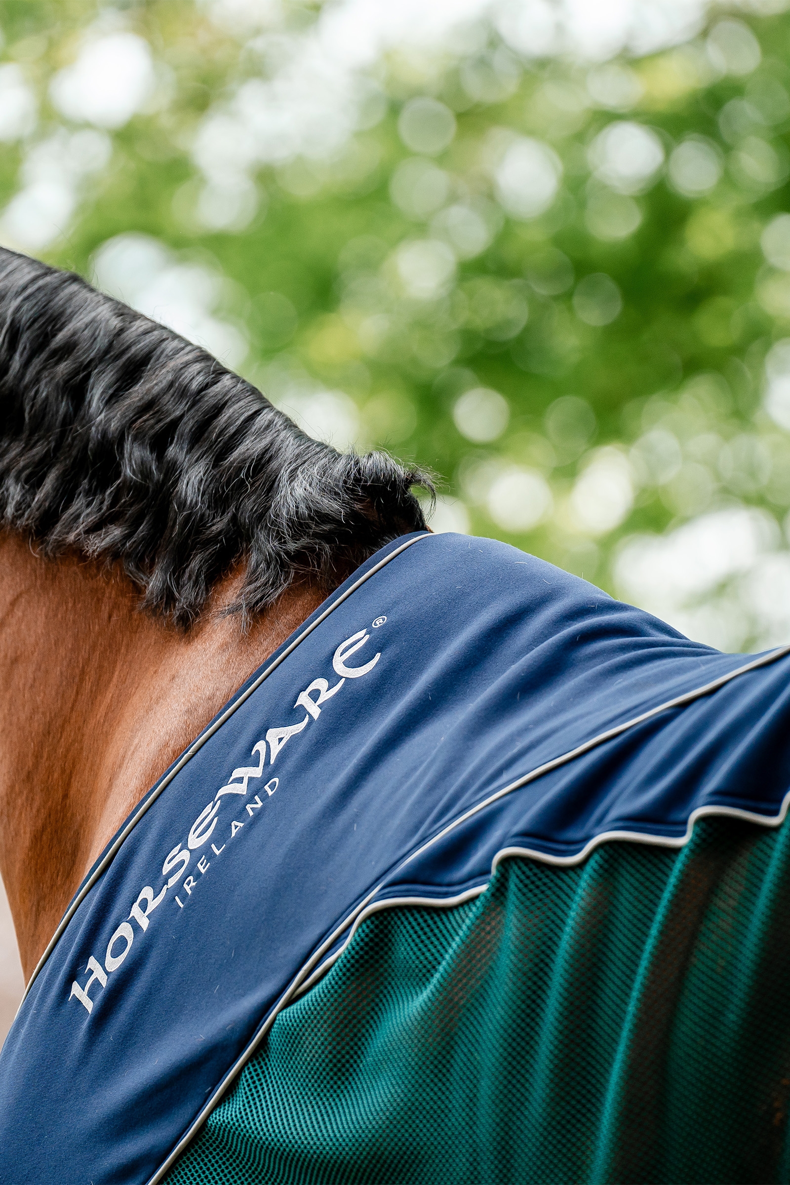 Horseware Signature Sport Svetteteppe