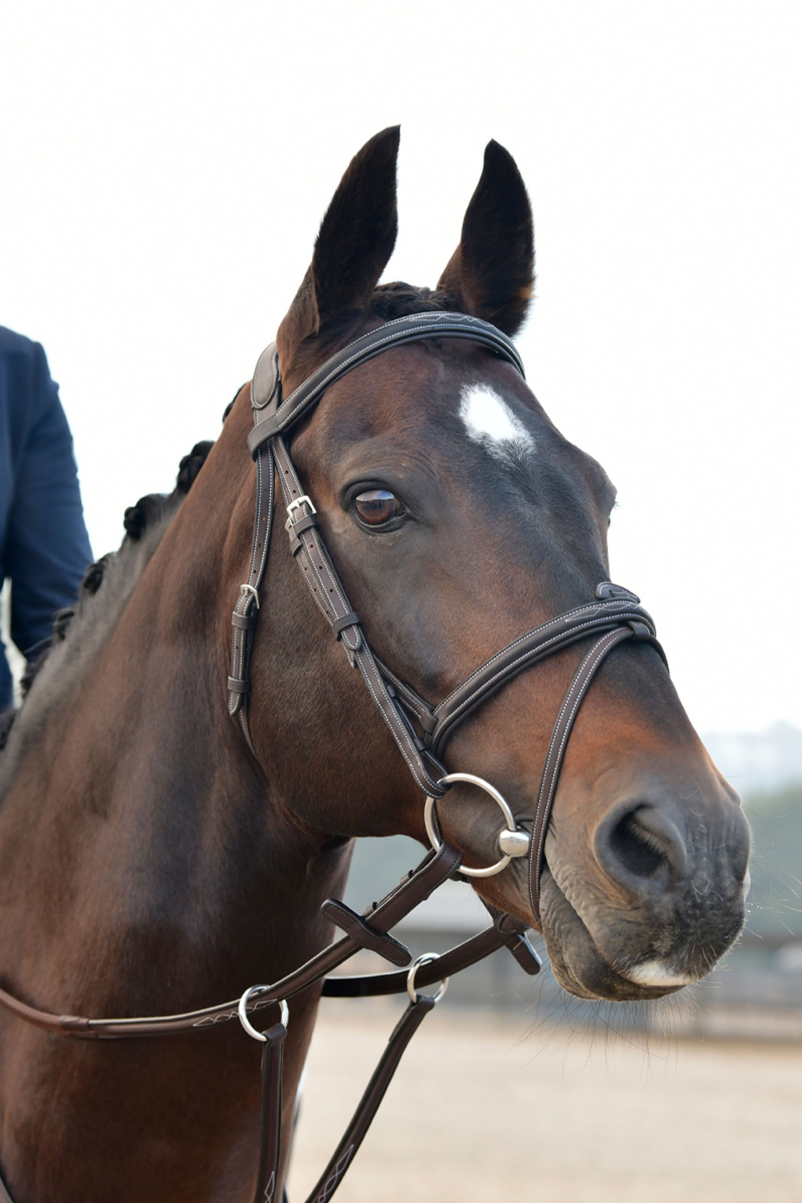 Collegiate Comfitec Opulux Fancy Stitch polstret hannoveransk hodelag