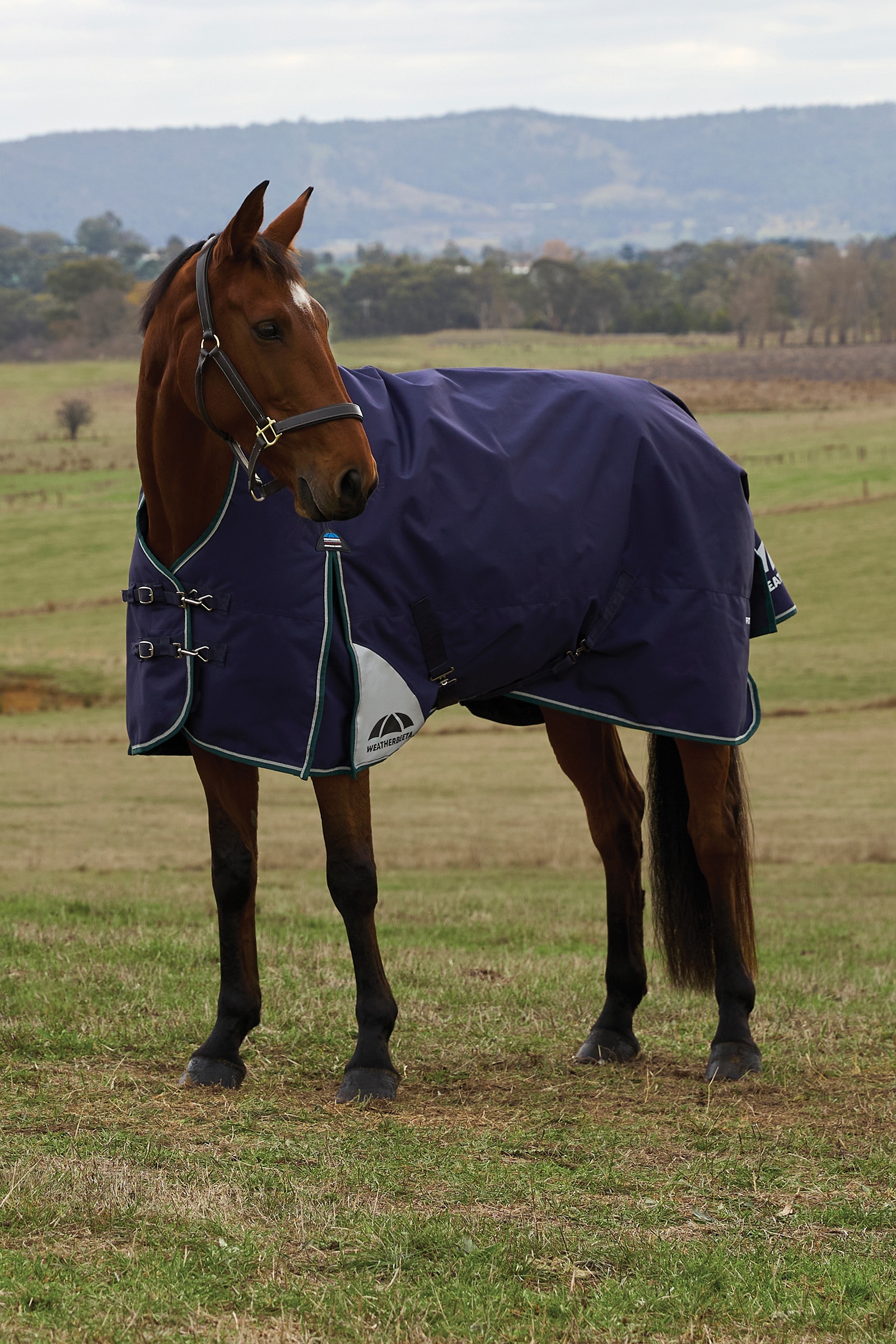 Weatherbeeta ComFiTecPlus Dynamisk Turnout H&oslash;y Hals 100G