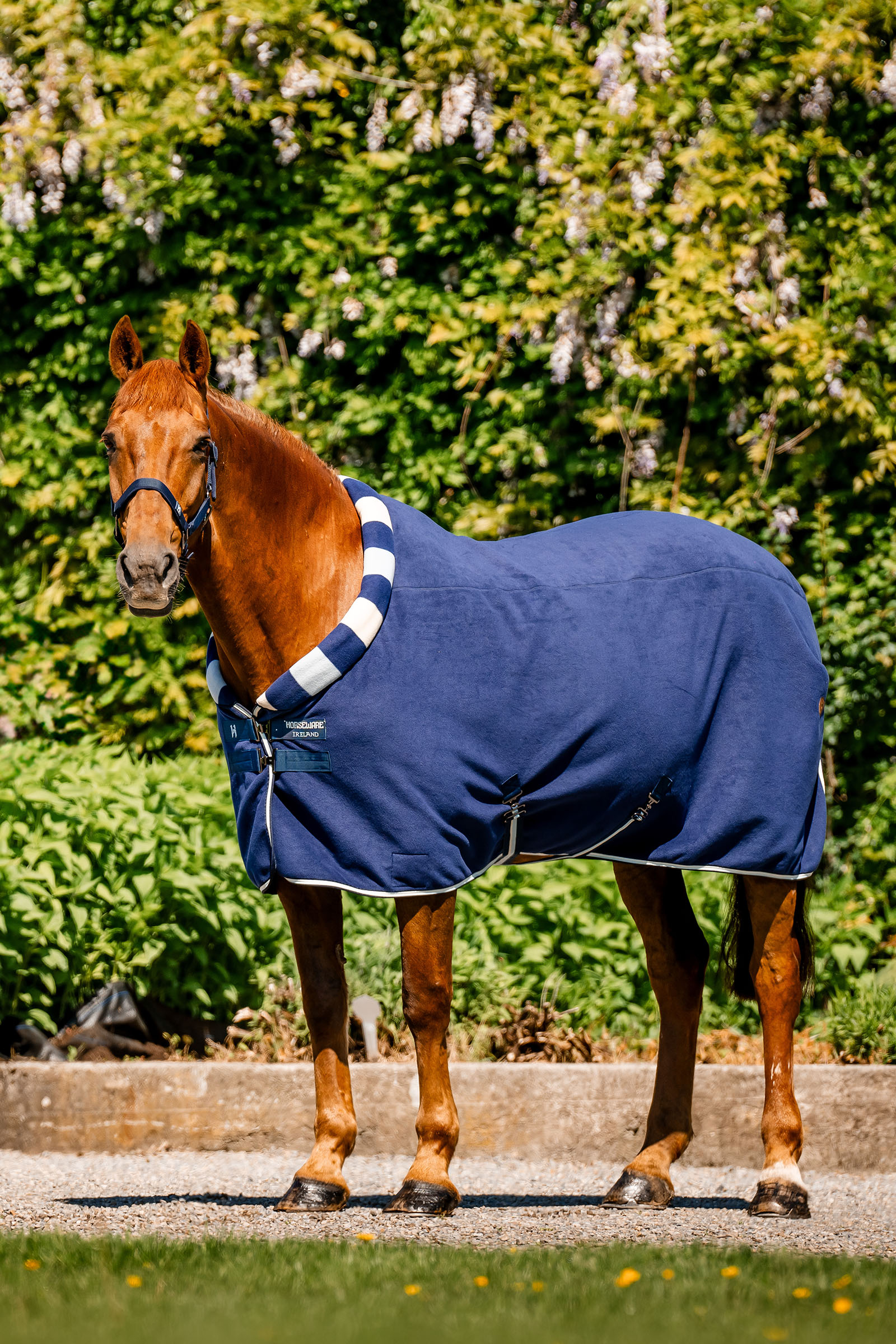 Witney Navy Horseware Newmarket Cosy Fleece Cooler-dekken