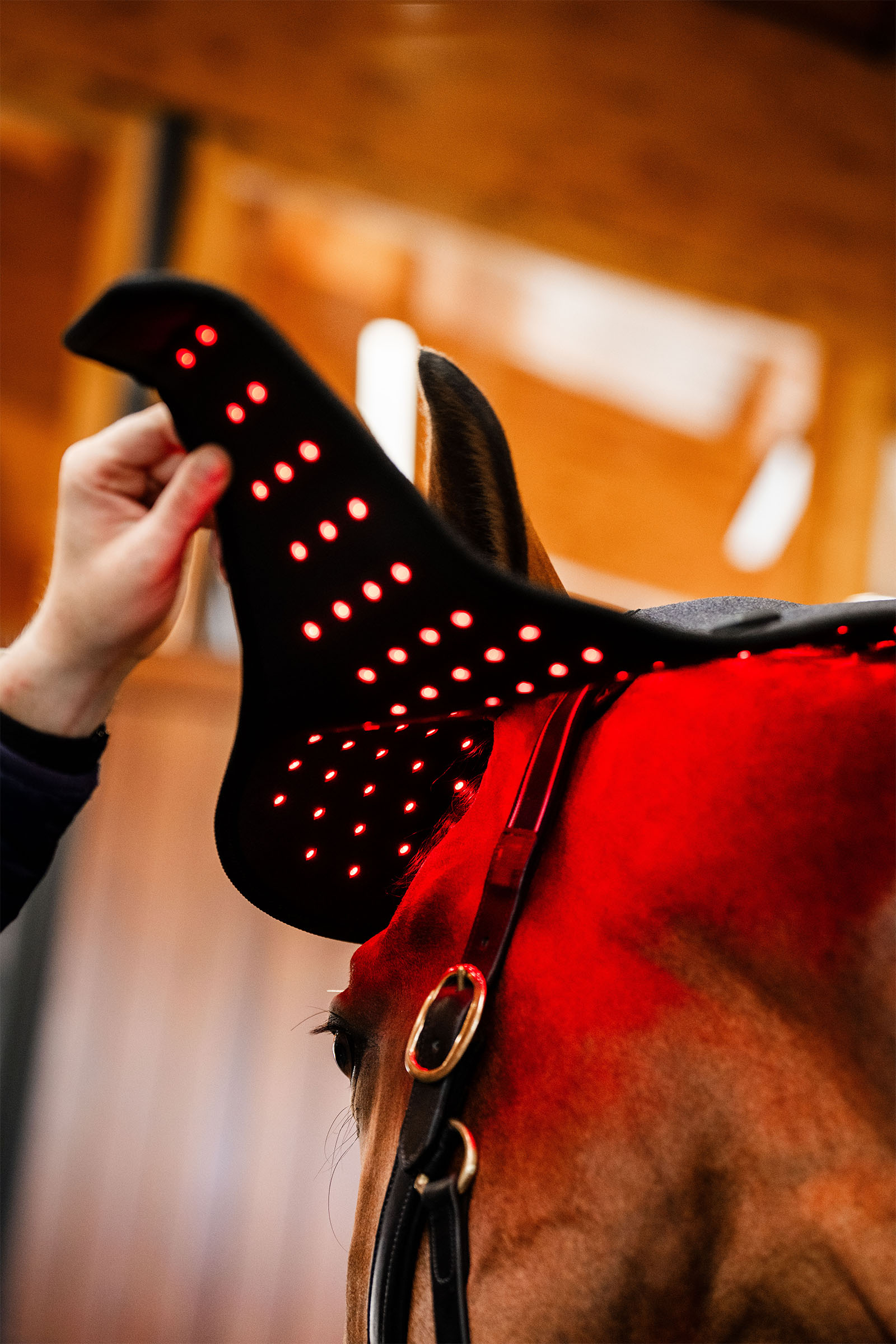 Horseware LED r&oslash;dt lys terapi nakkelue