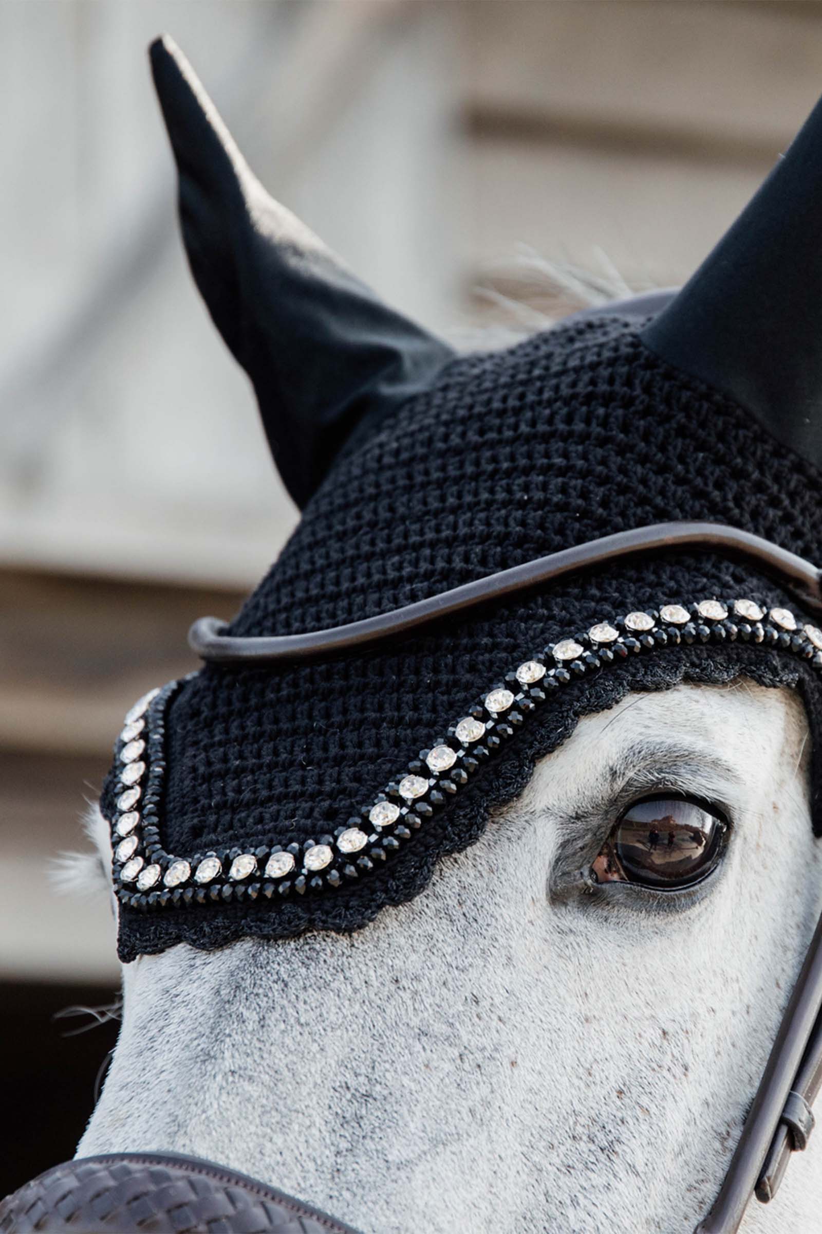 Kentucky Horsewear Wellington Big Stone and Pearl ørehette