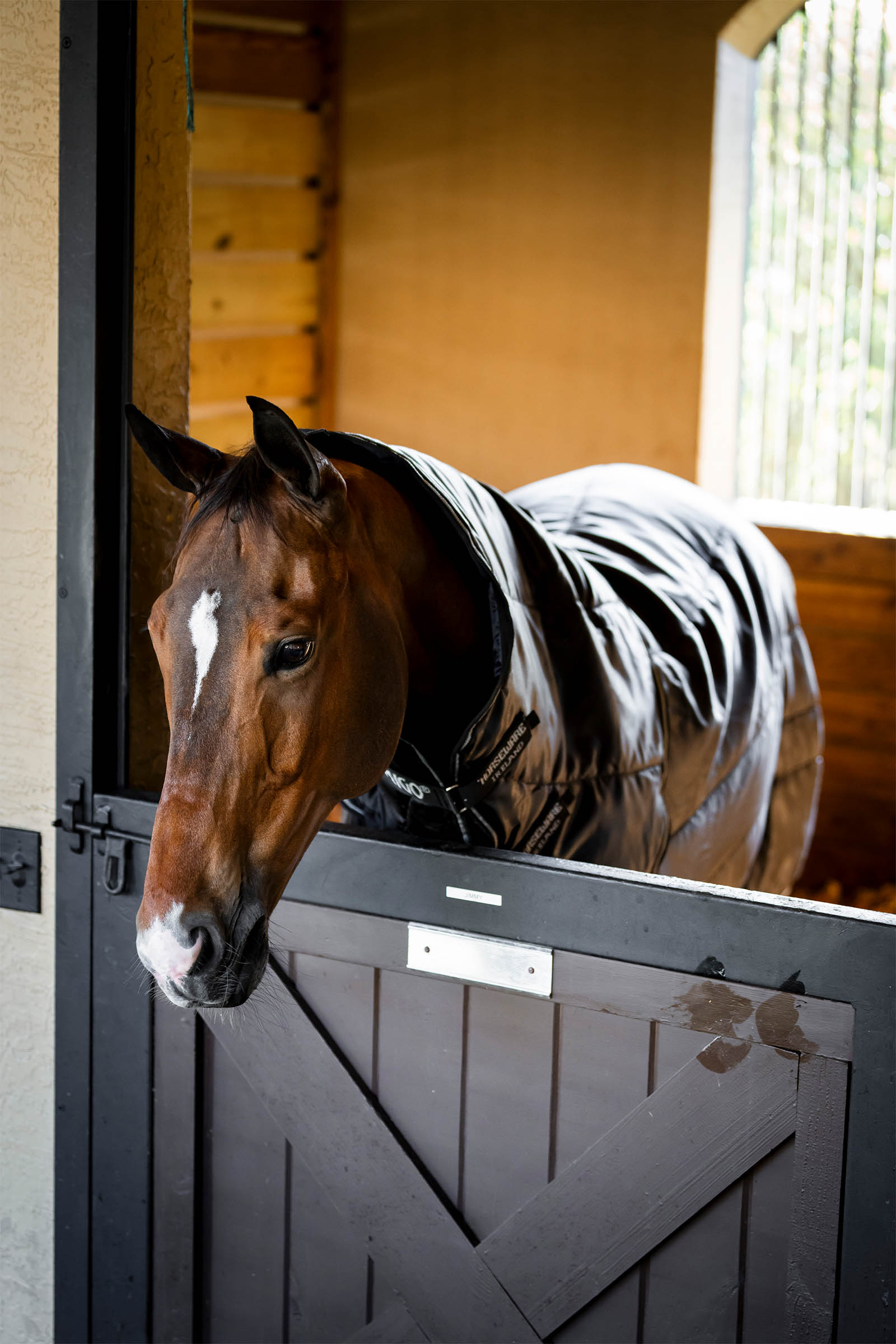 Horseware Amigo Ripstop Insulator Plus stalldekken, 200 g