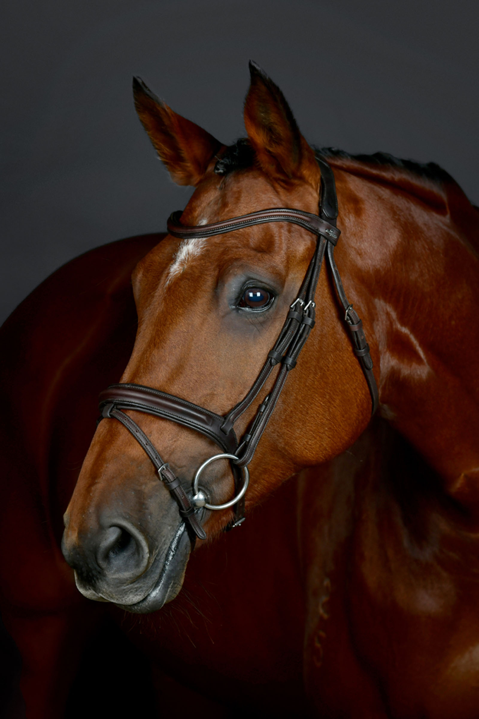 Collegiate Comfitec Opulux enkel, polstret hodelag med kombinert hannoveransk nesereim