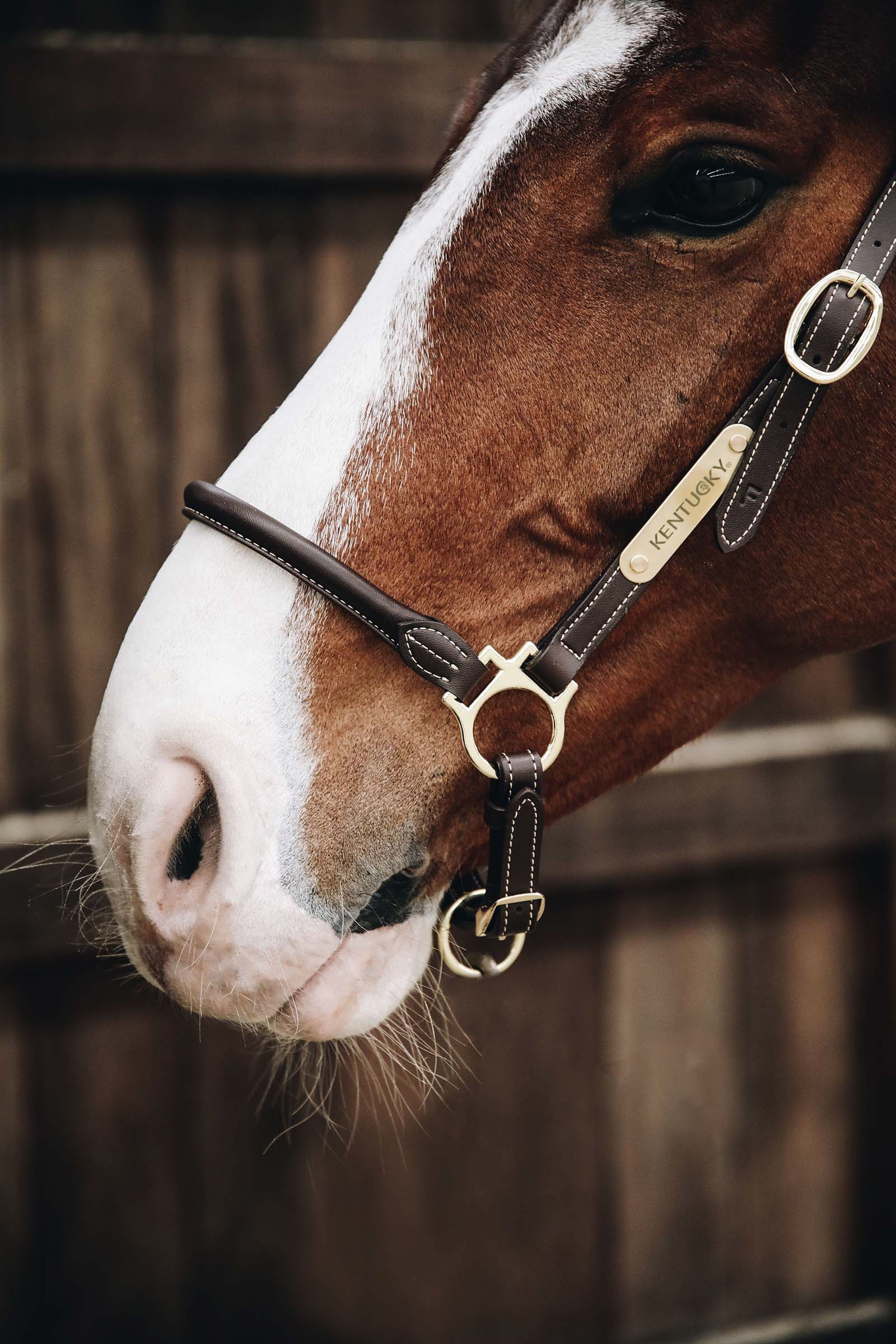 Kentucky Horsewear l&aelig;rgrime for stell