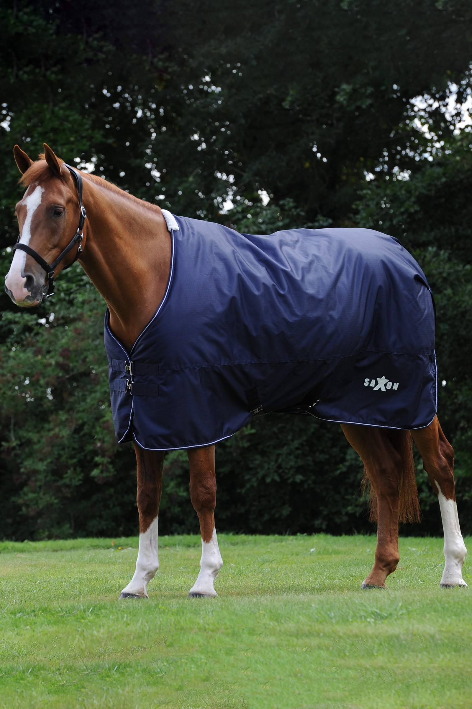 Saxon Defiant 600D Medium turnout-teppe, 200 g