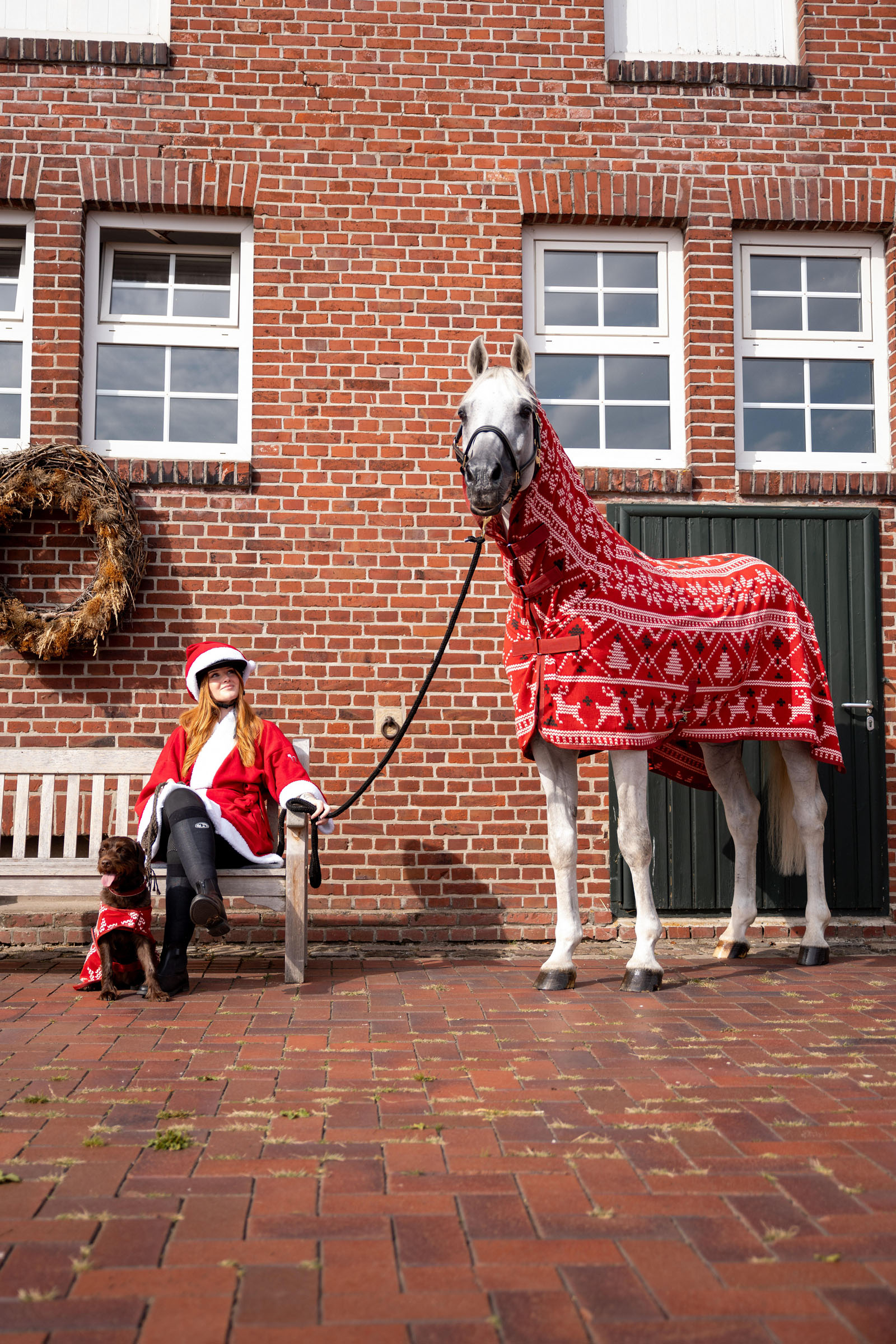 Horze julegenser til hester