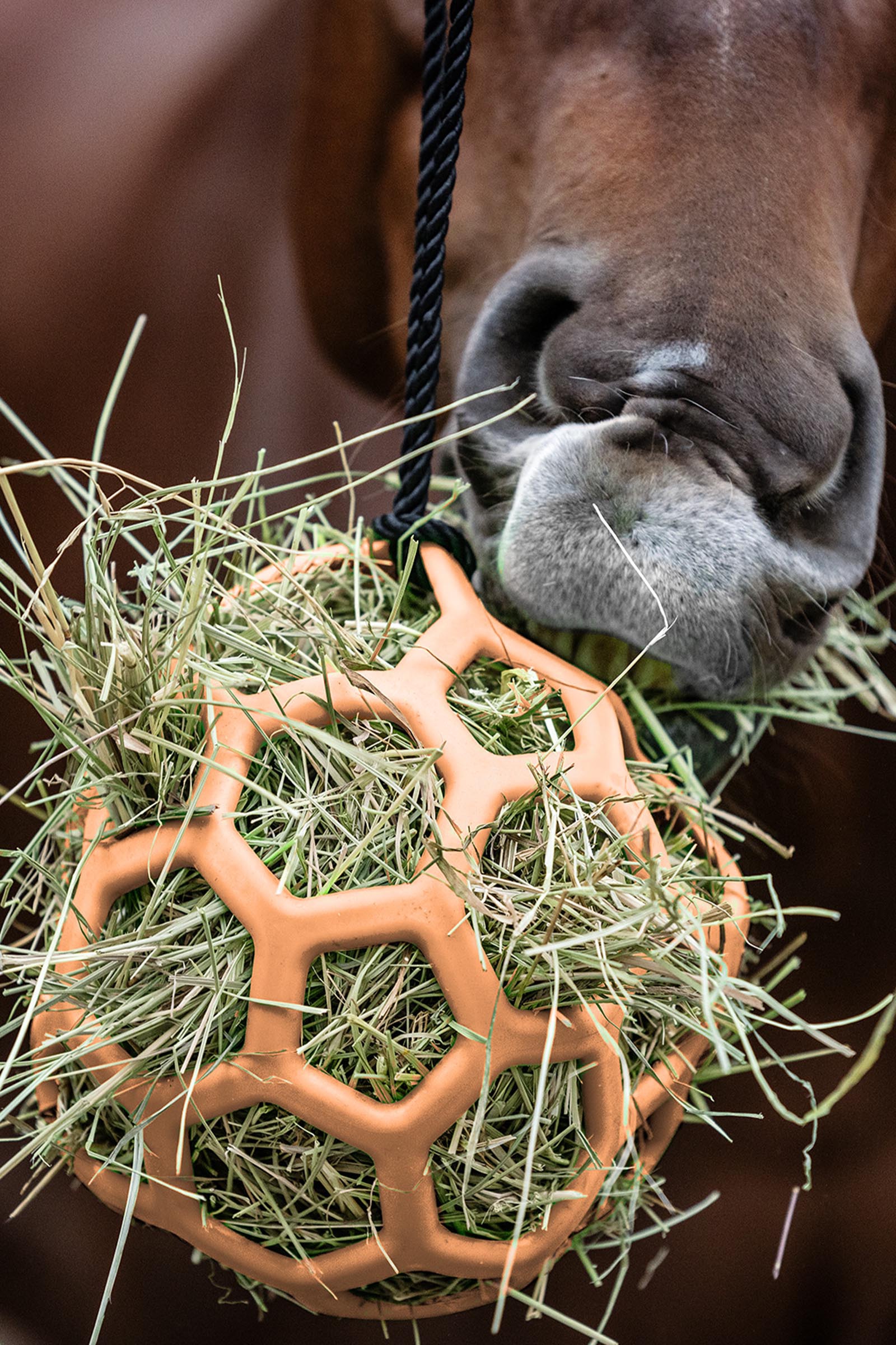 Peach Waldhausen h&oslash;yball