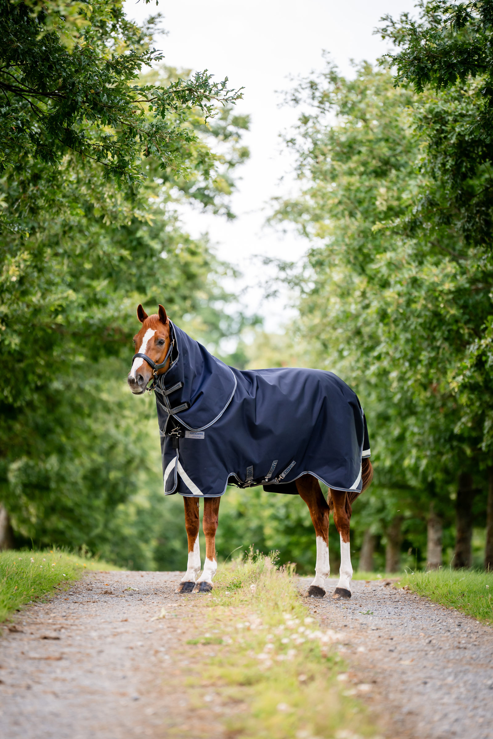 Horseware Rambo 1680D Plus Vario Layer utedekken, 250 g
