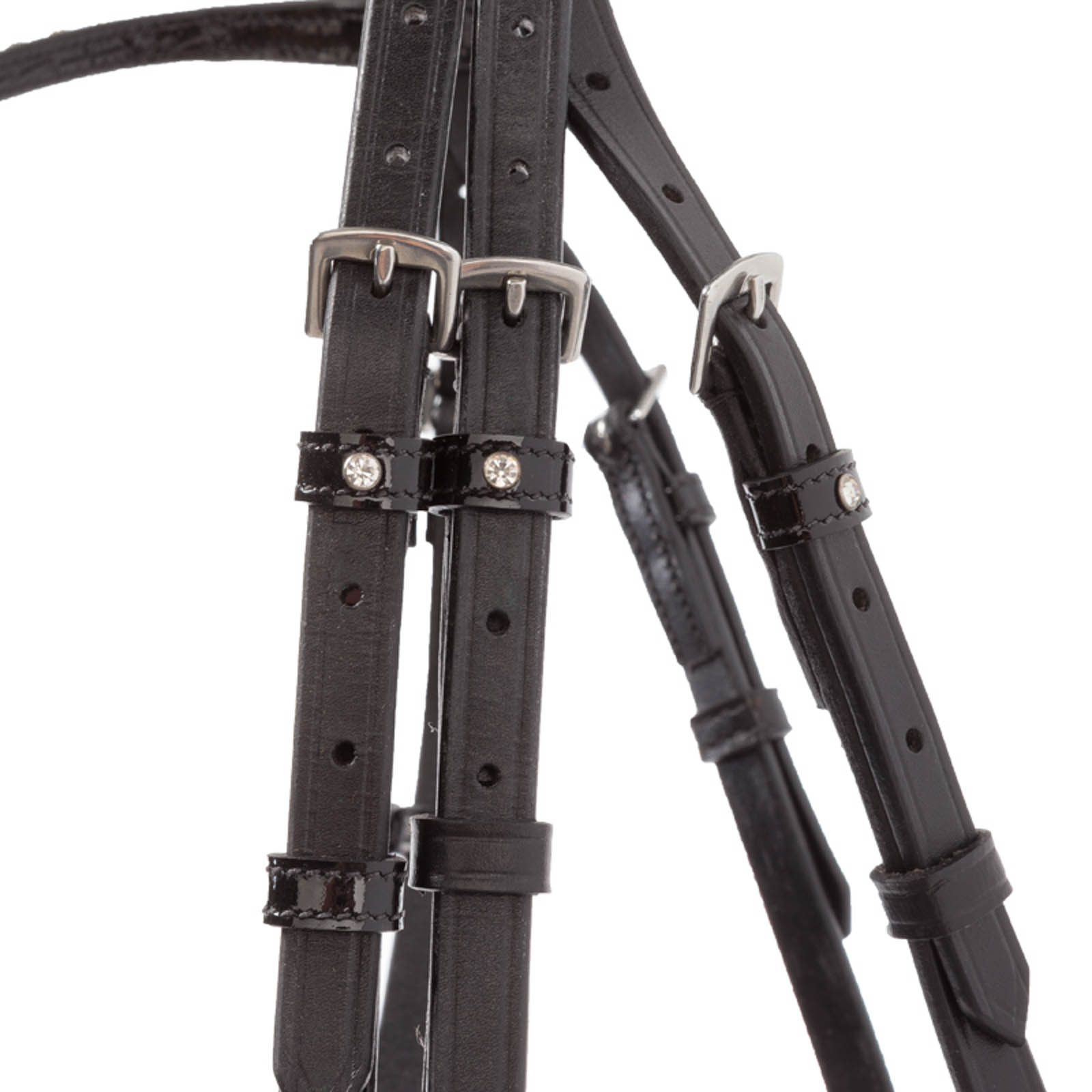 Kavalkade Reyna KavalSH4 hodelag