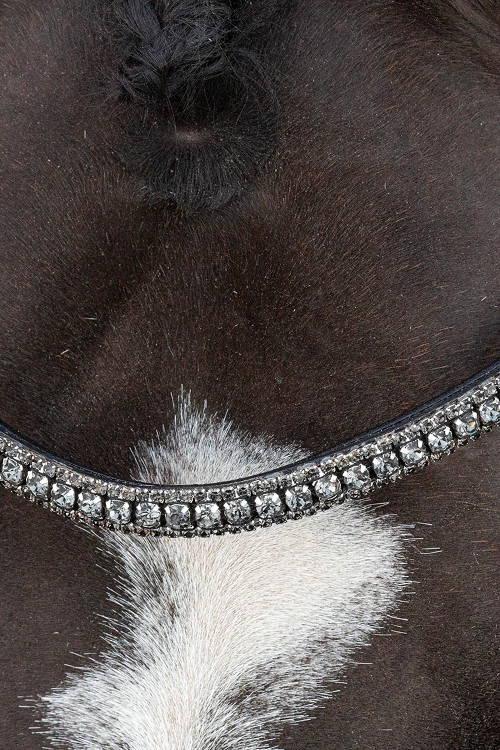 Schockem&ouml;hle Sports Brindisi Kandarhodelag