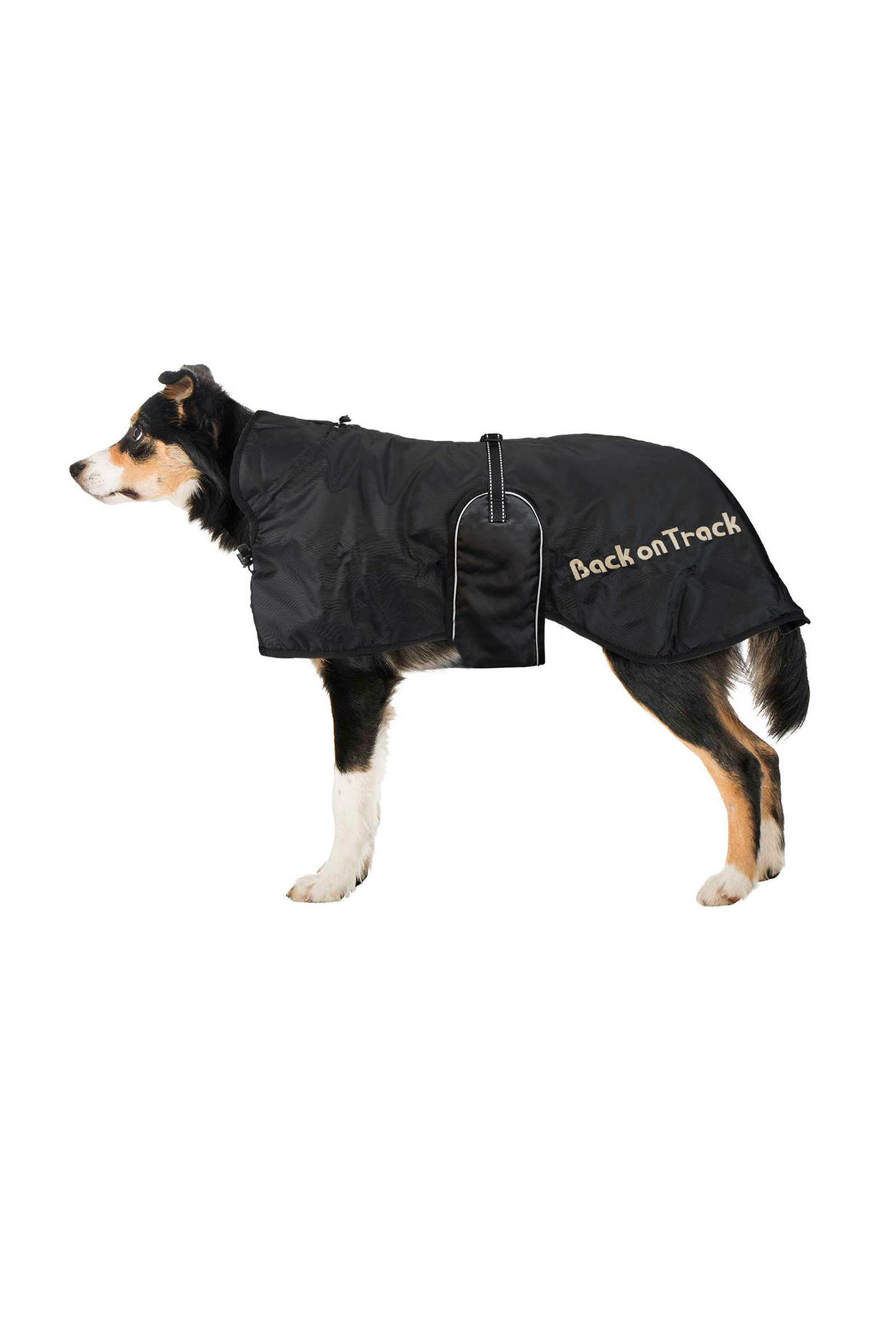 Back on Track hundedekken (43-59)