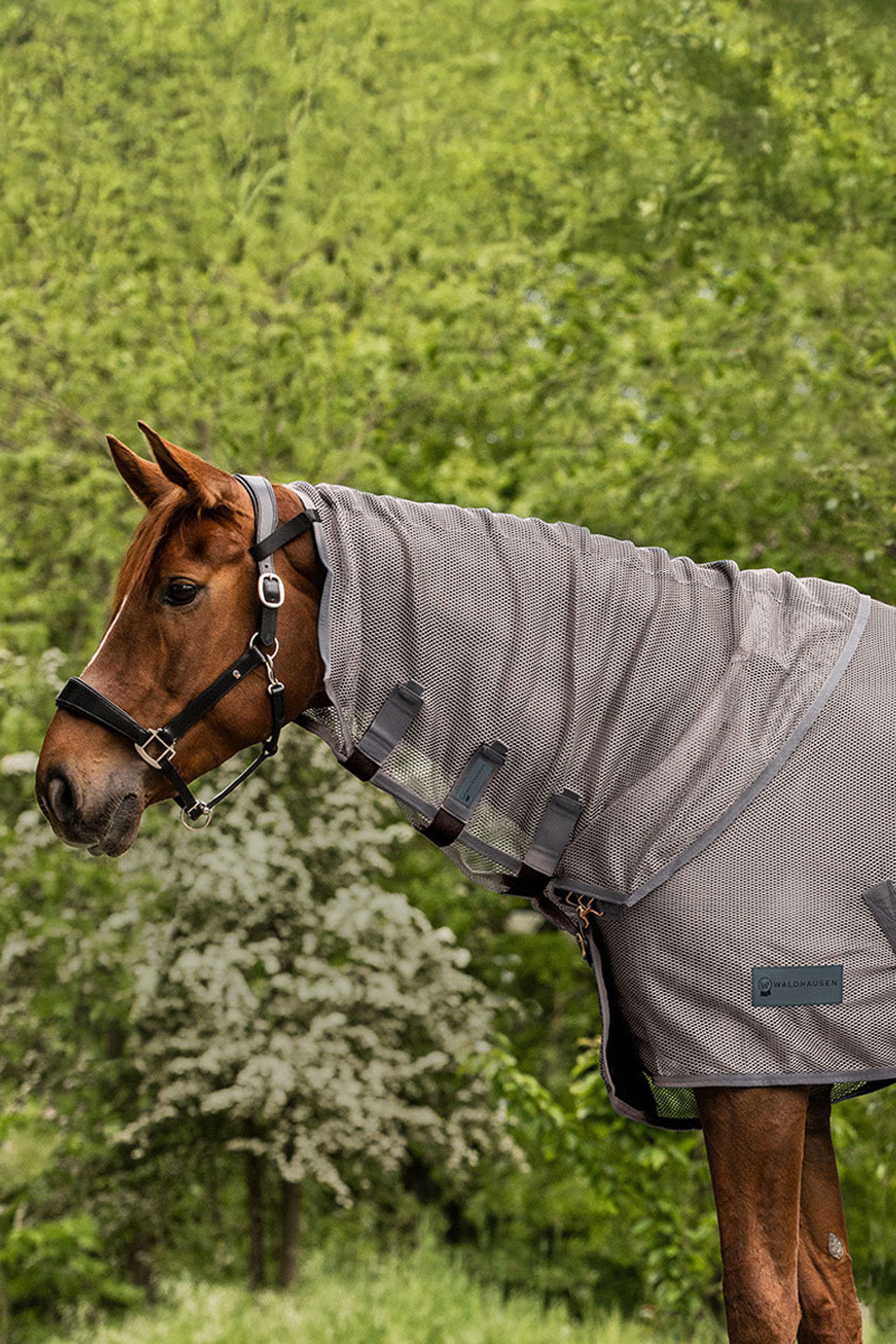 Grey Waldhausen Comfort fluehalsbeskytter