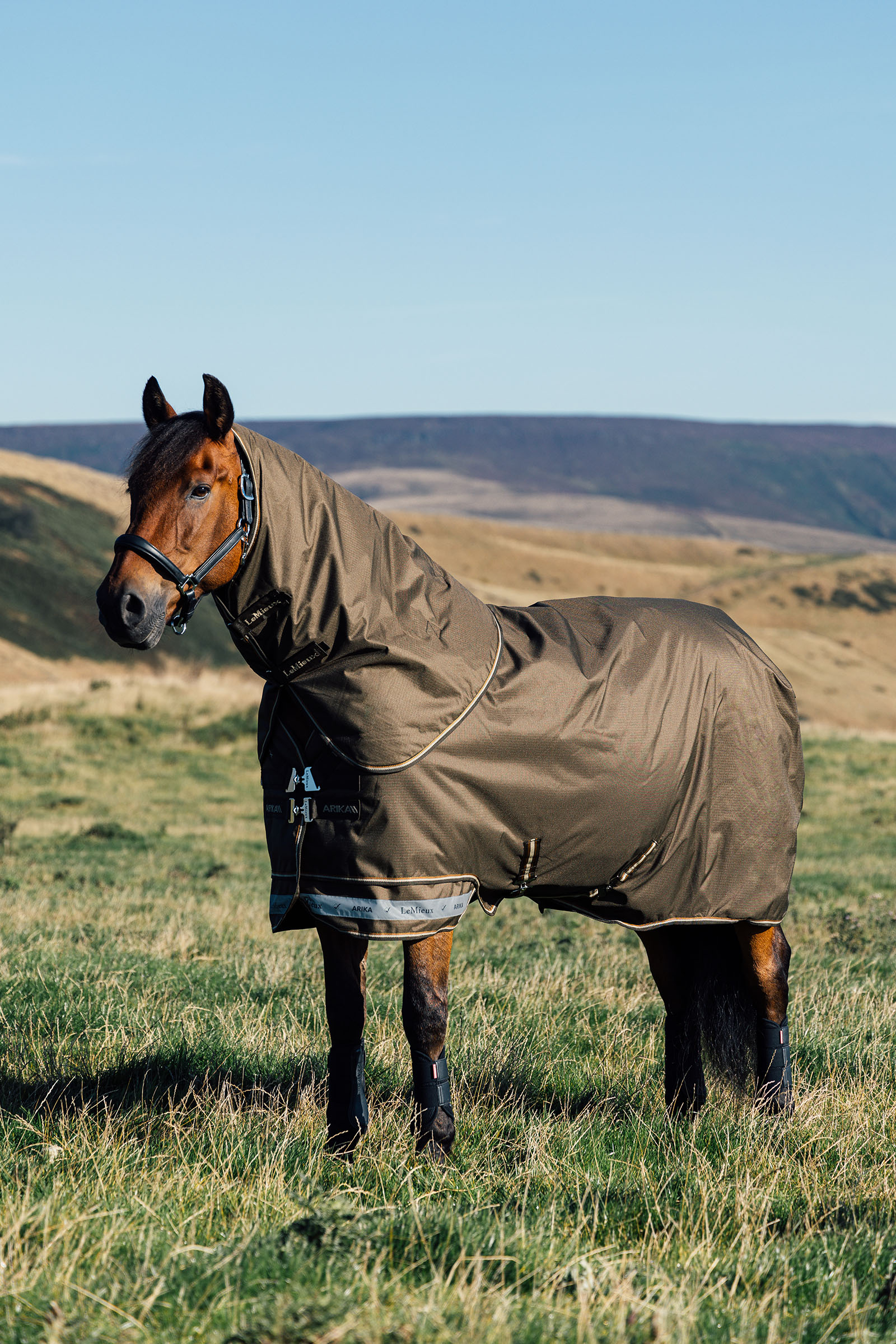 LeMieux Arika Ripstop utedekken 50g