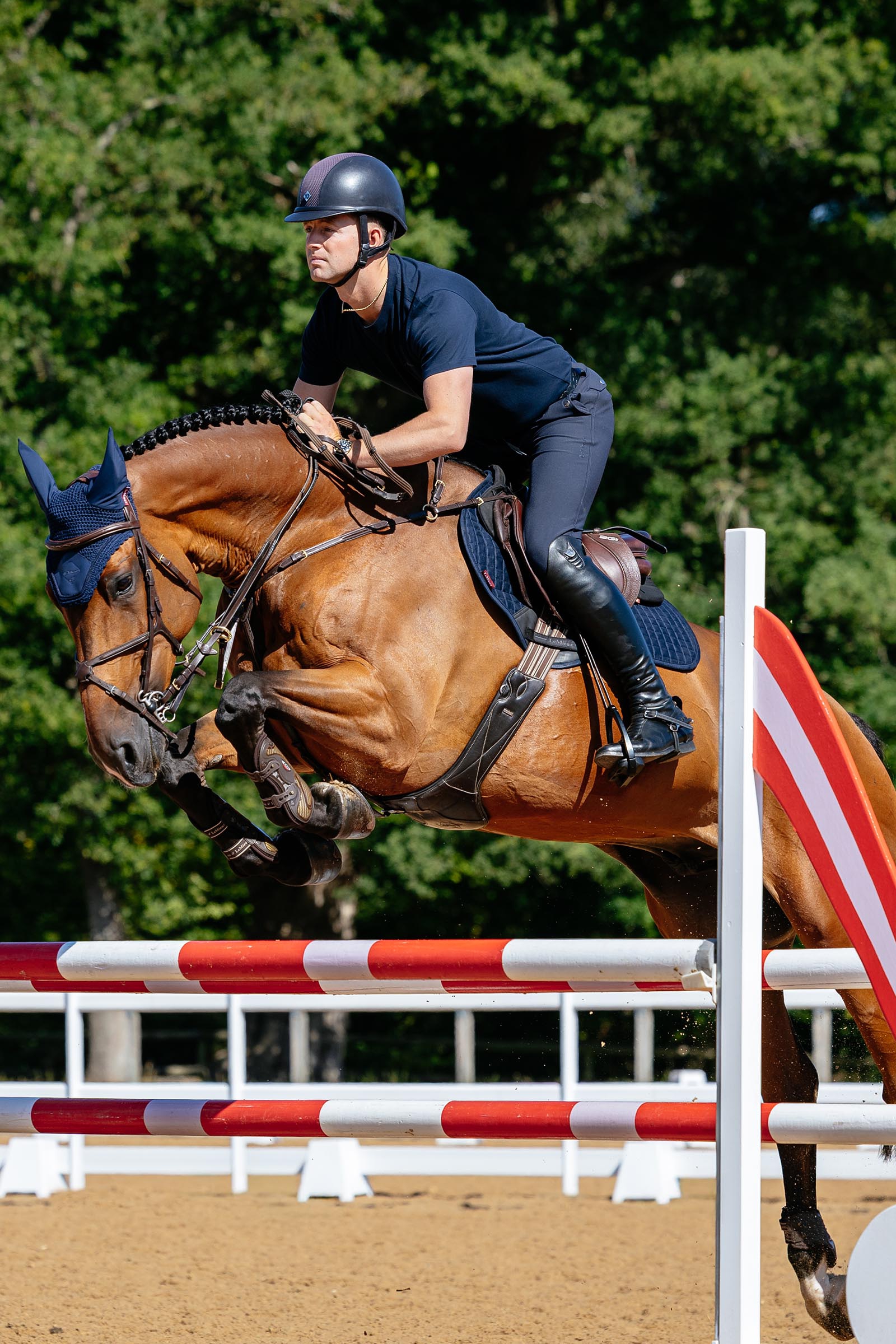 LeMieux Suede Close Contact sprangsjabrak