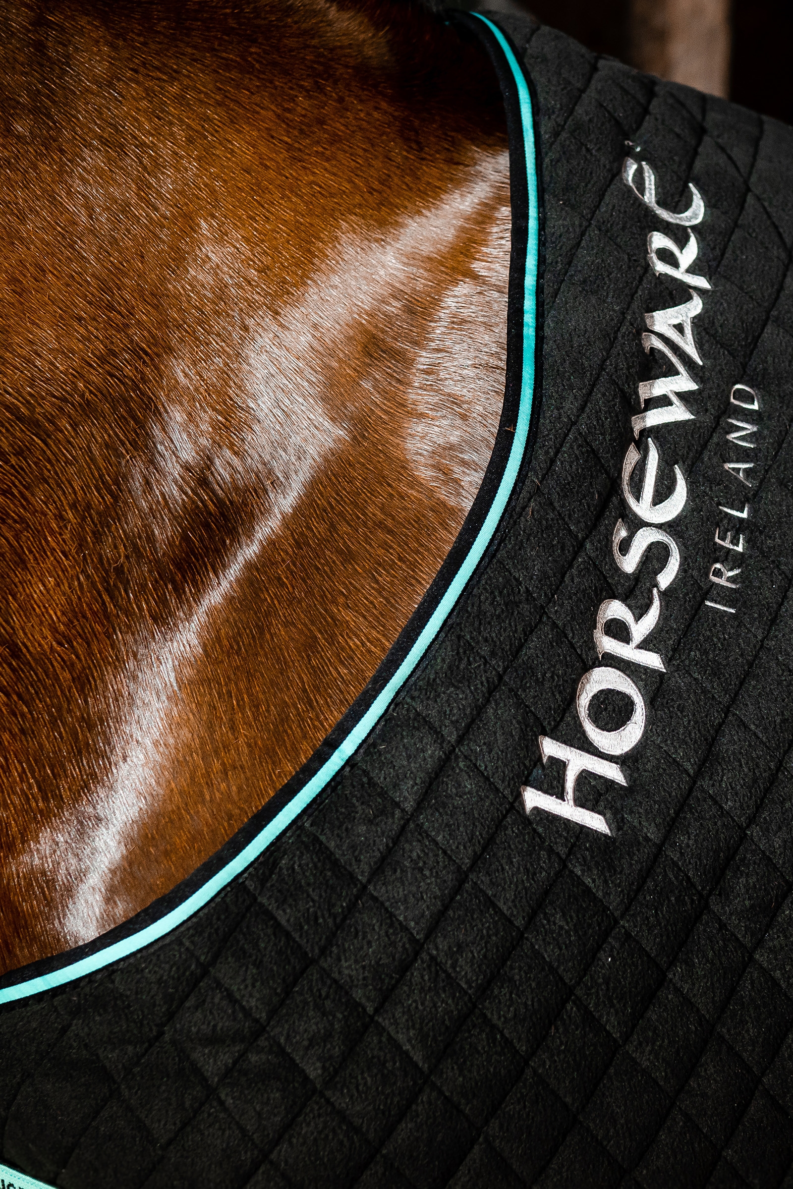 Horseware Autumn cooler