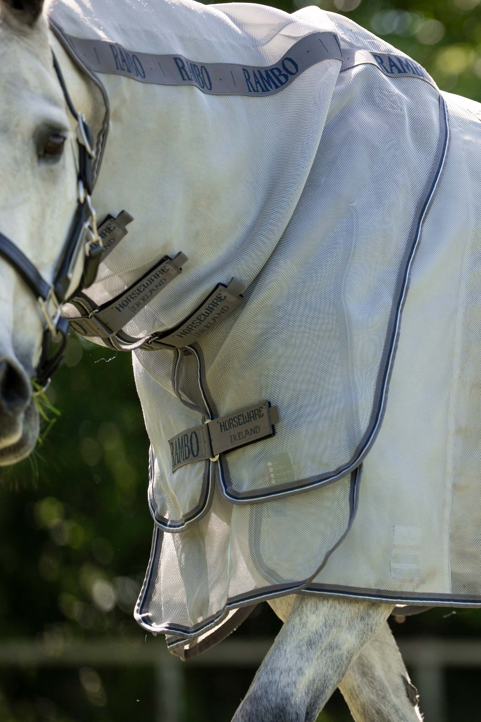 Horseware Rambo Optimo Protector Plus dekken