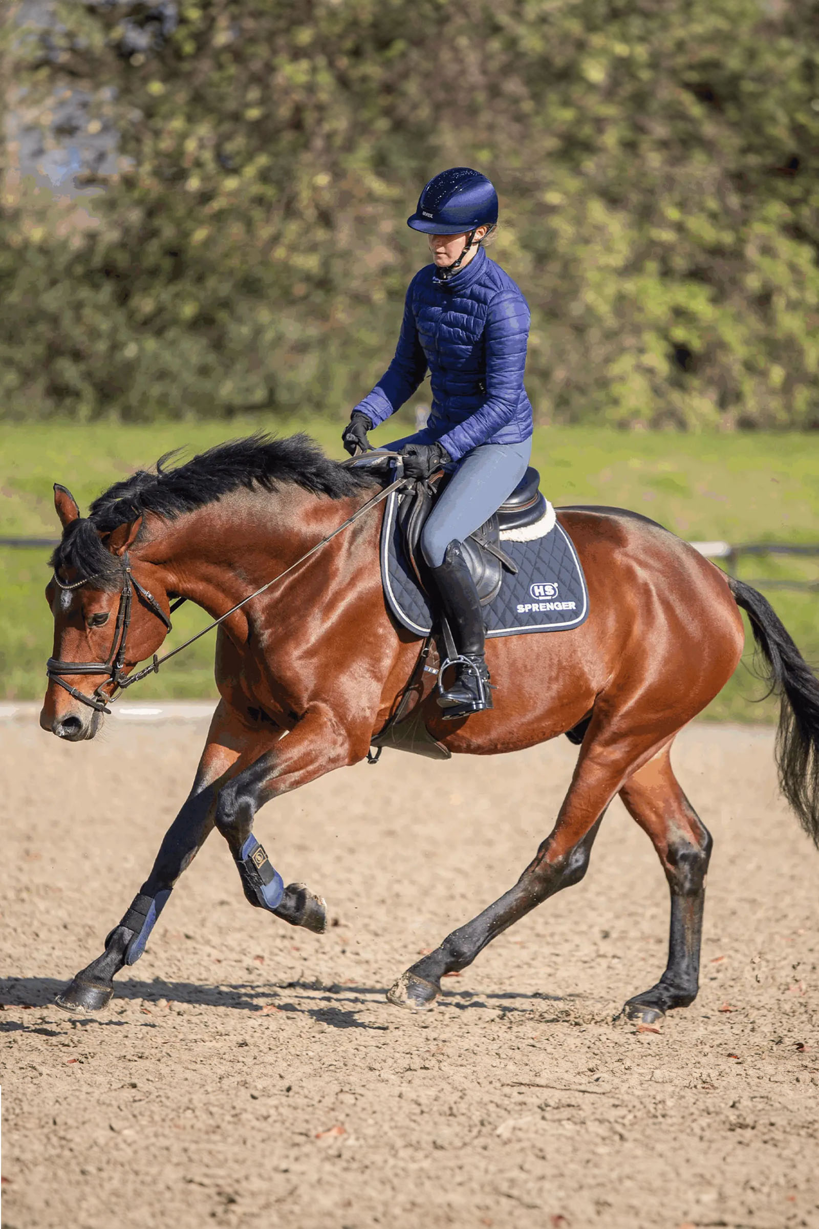 Sprenger Novocontact Muffebitt 14mm Enkeltleddet Sensogan Med D-Formede Ringer