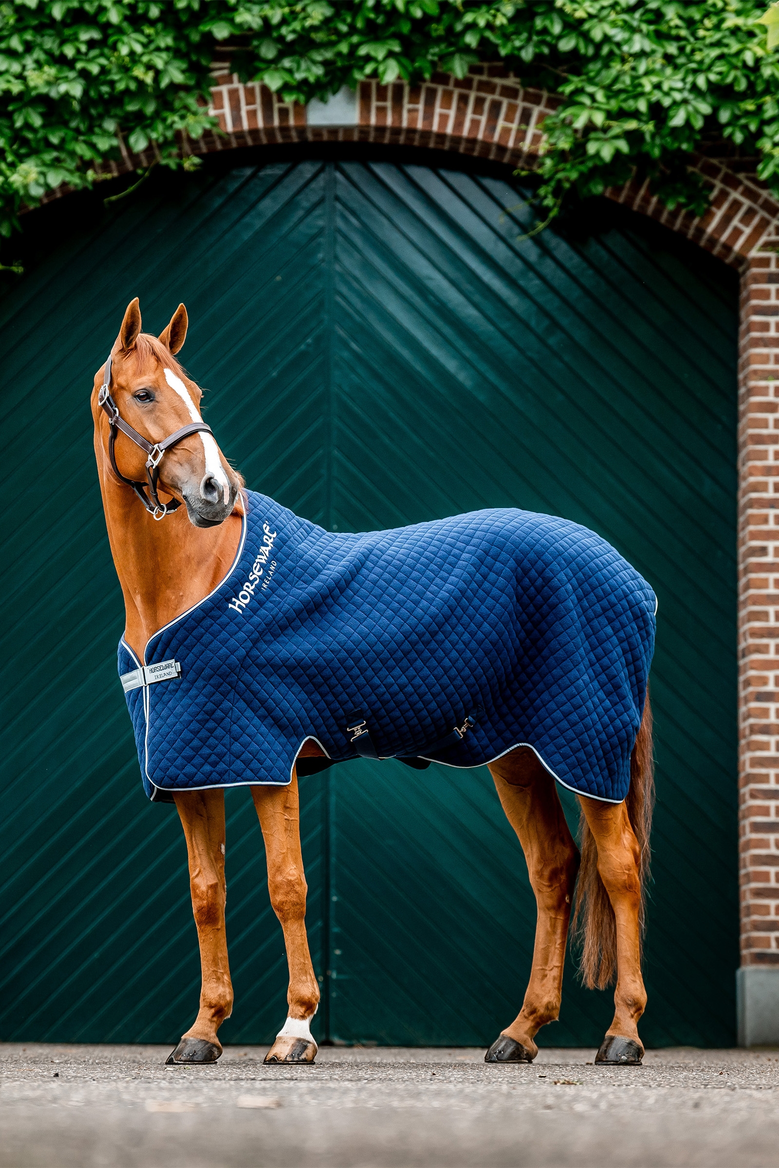 Navy/Navy Horseware Autumn cooler