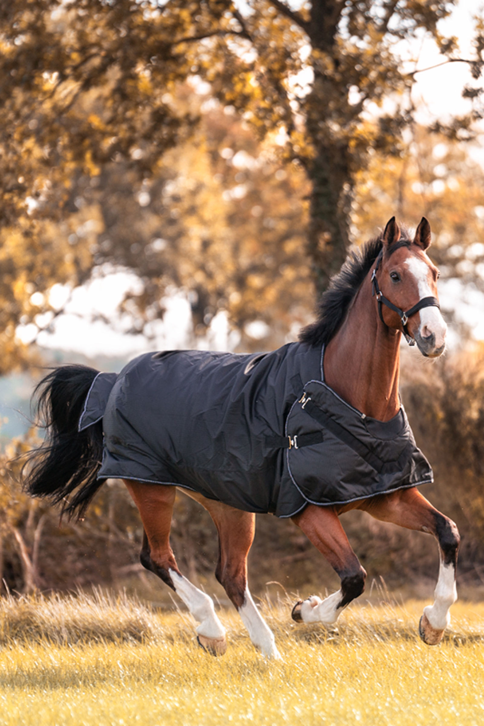 Kavalkade Halifax 2-i-1 Utedekken og Walker-dekken 200g