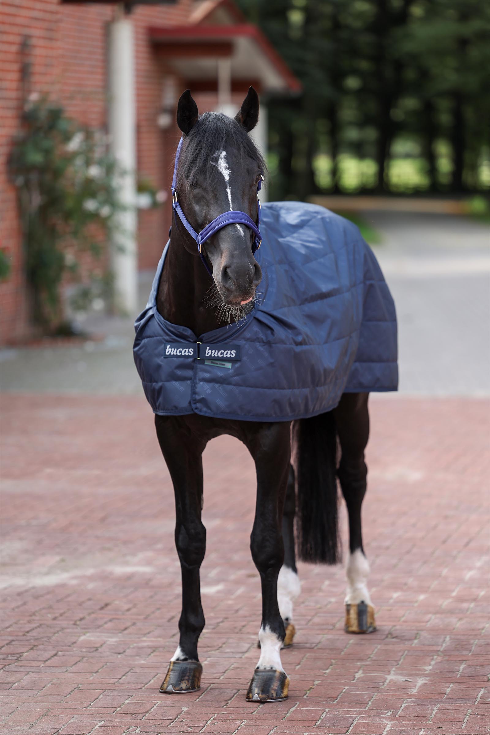 Bucas innedekken, 200 g