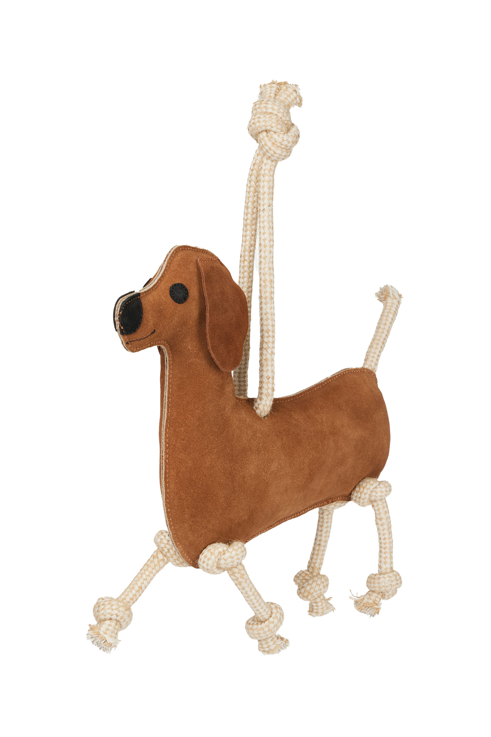 LeMieux hesteleke dachshund