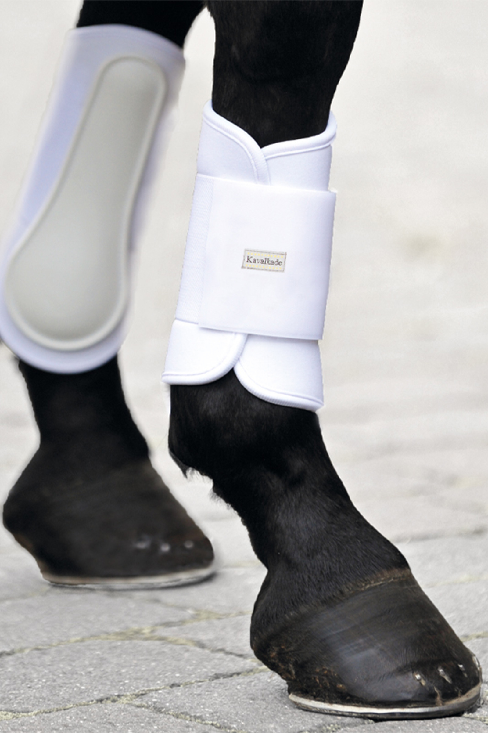 Kavalkade myke neoprenbelgg, foran