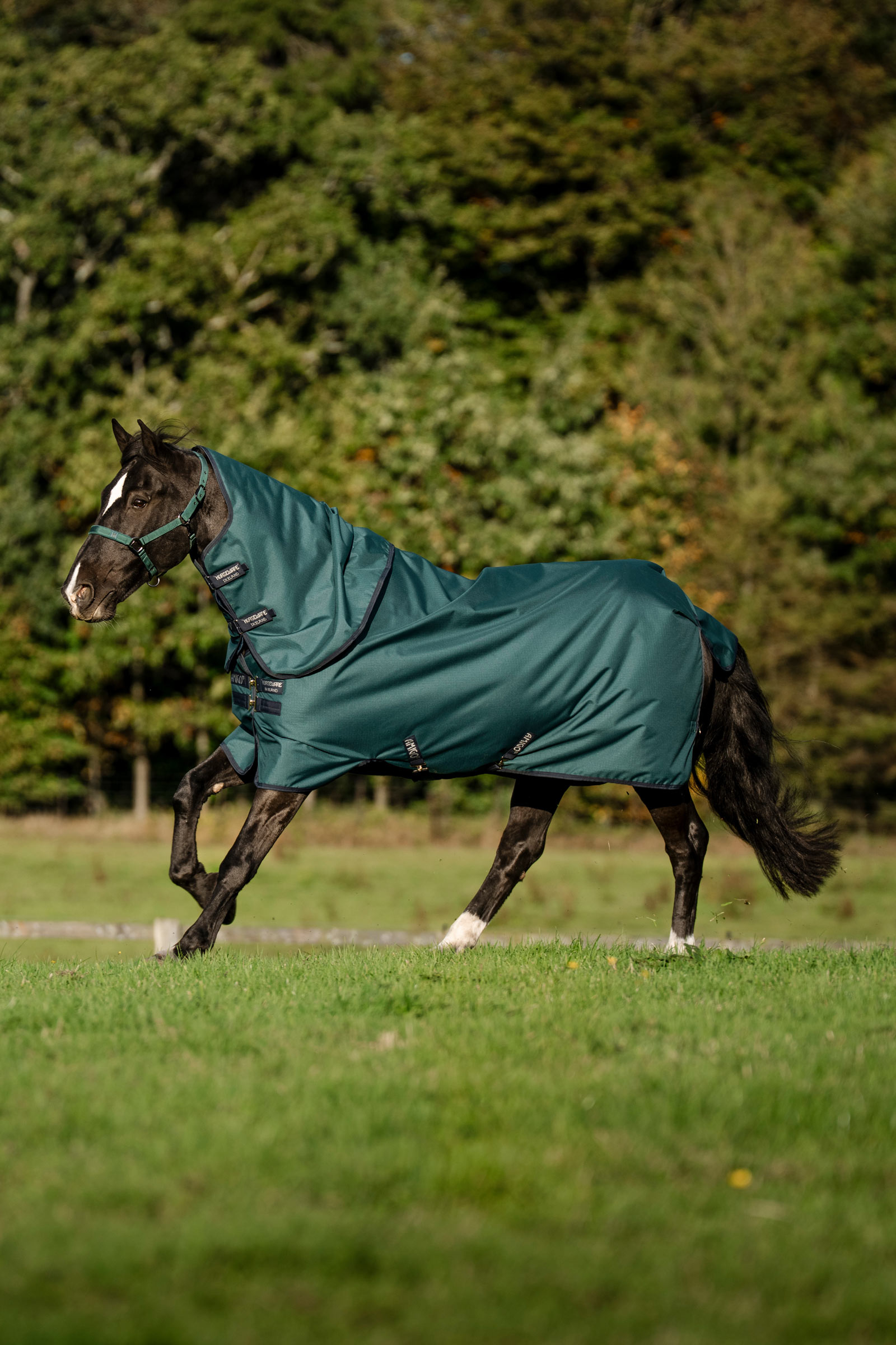 Horseware Amigo Ripstop 900D Plus utegangsdekken til ponni, 50 g