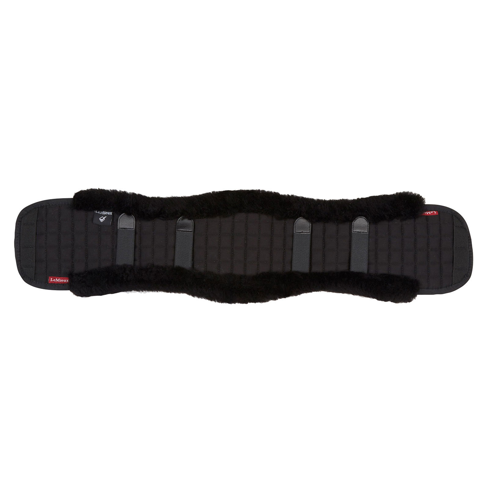 Beskytter til dressurgjord