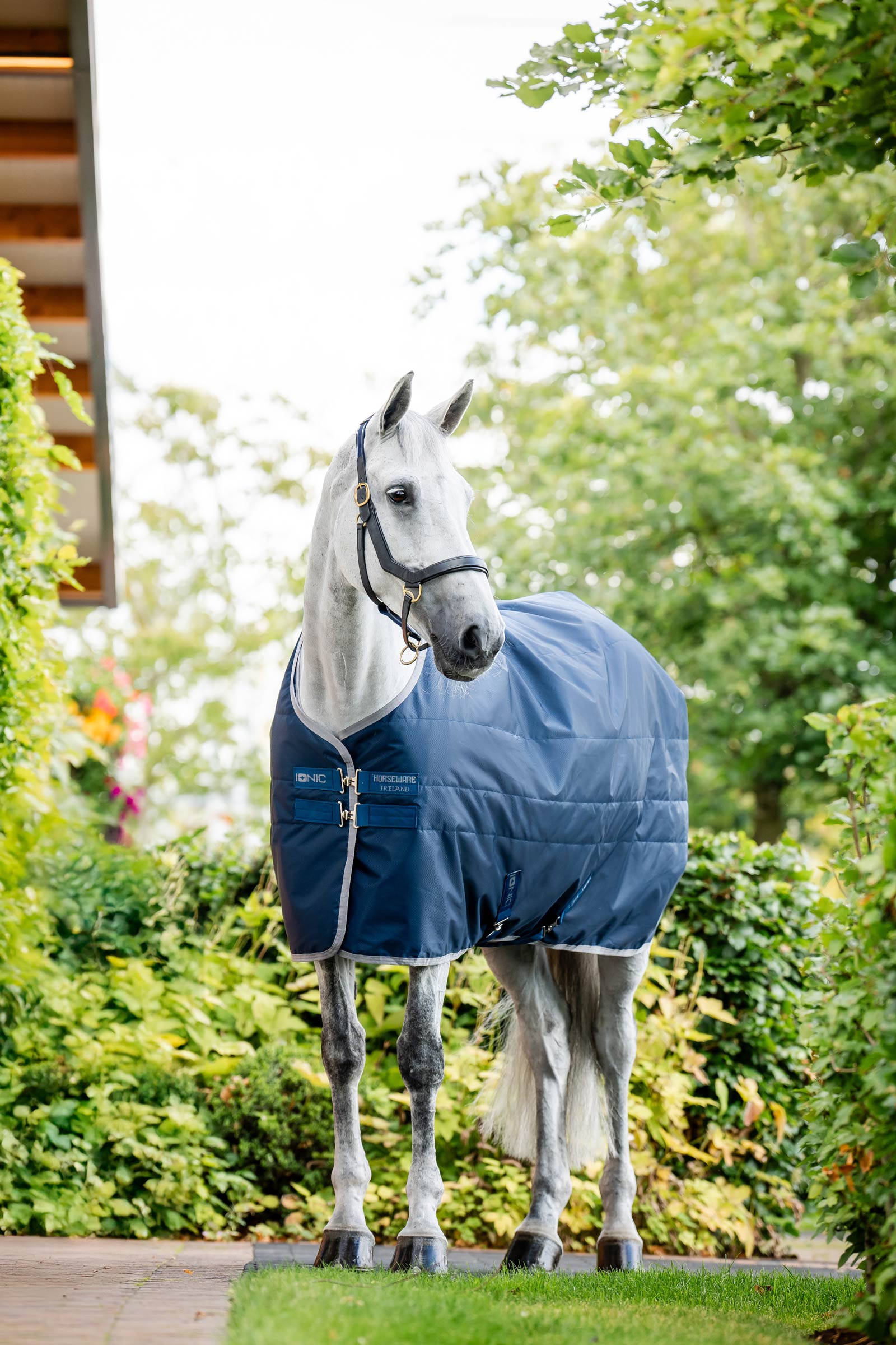 Horseware Ionic Therapy Stalldekken, 50g