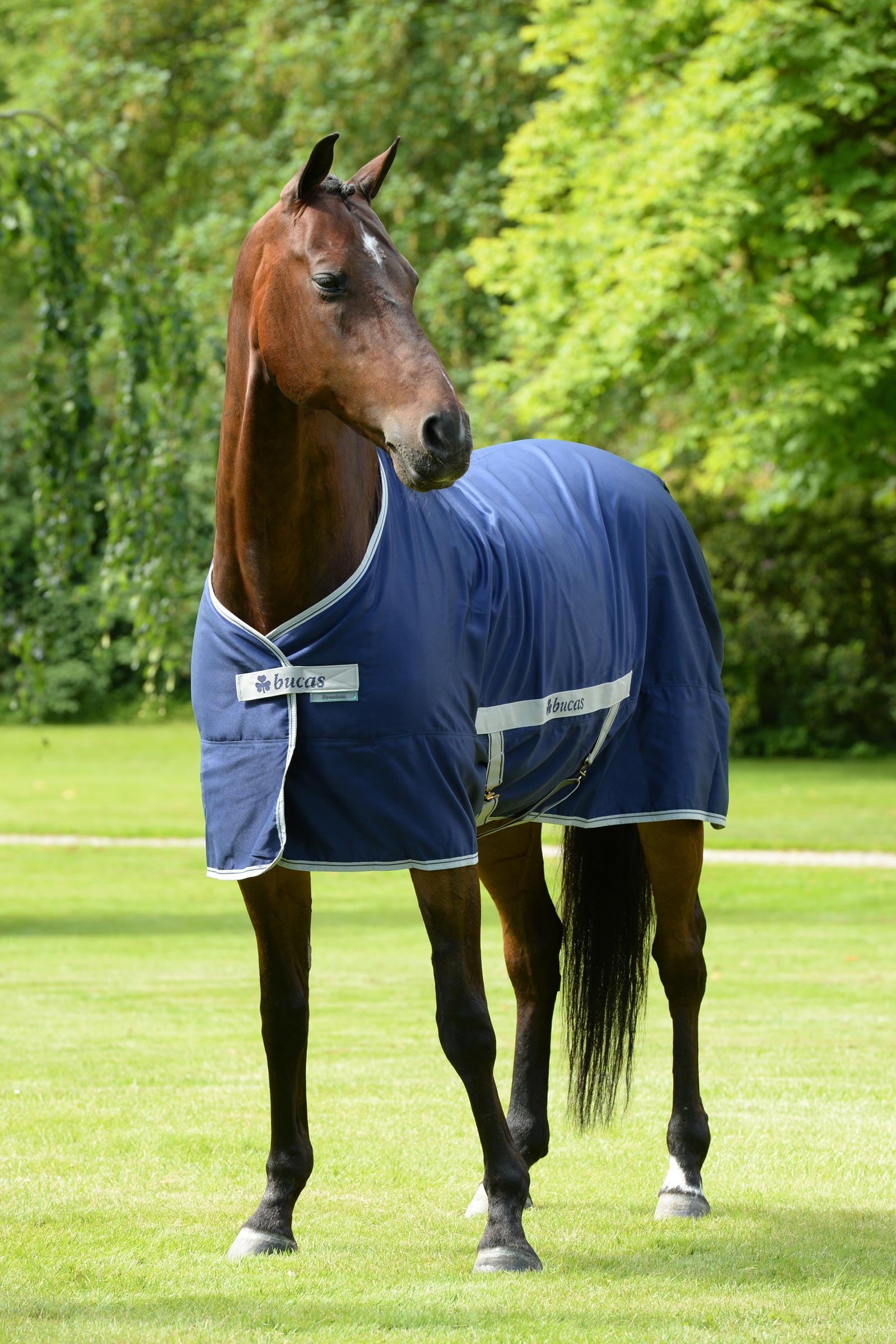 Bucas Freedom Twill Stalldekken, 0 g