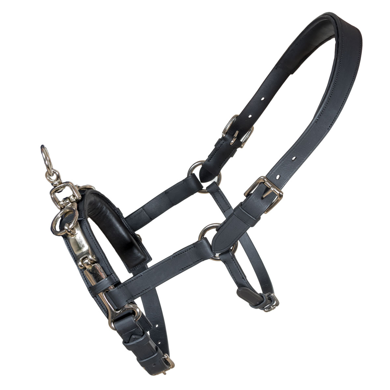 Karlslund Fengur kapsun