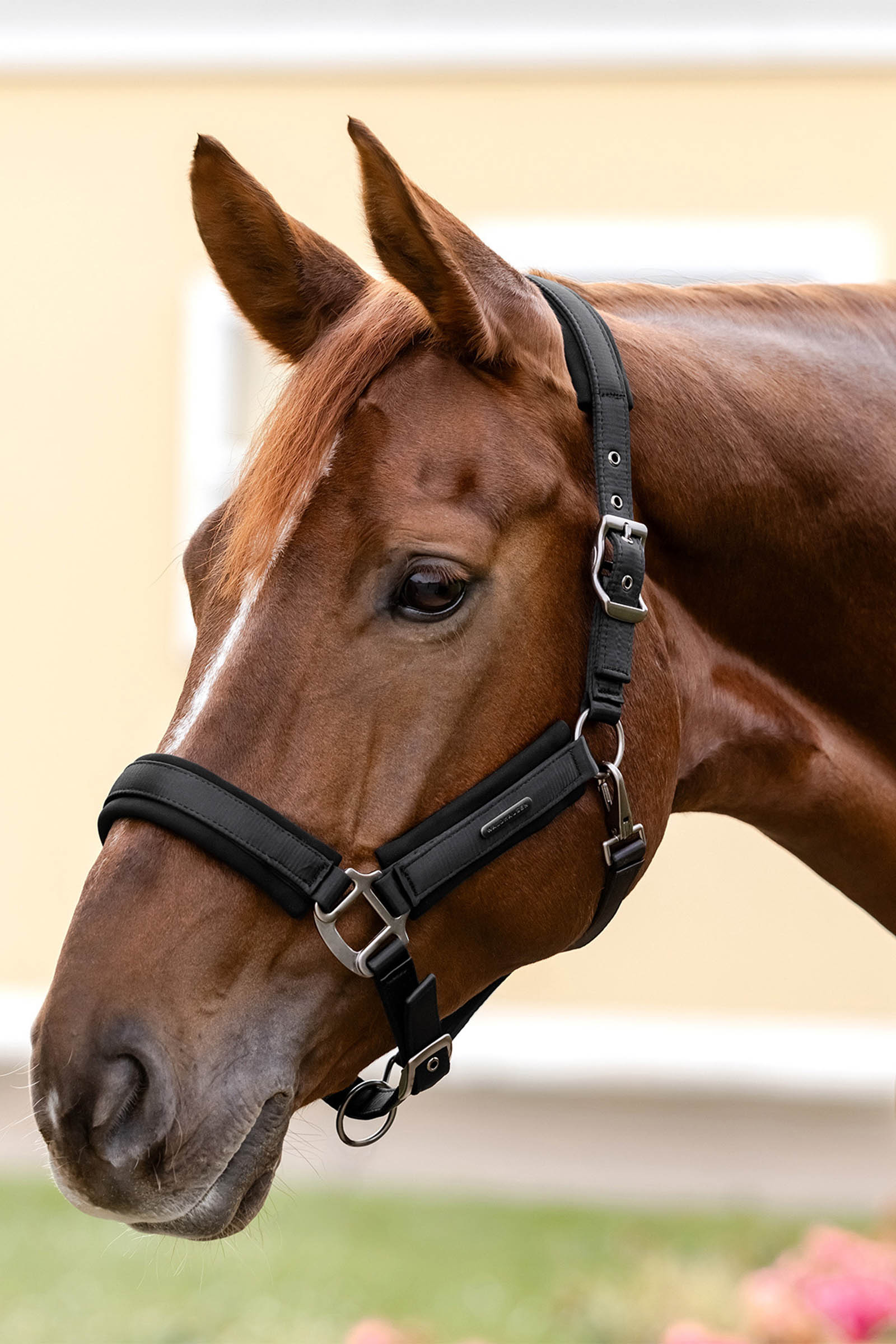 Waldhausen myk Soft Touch Grime