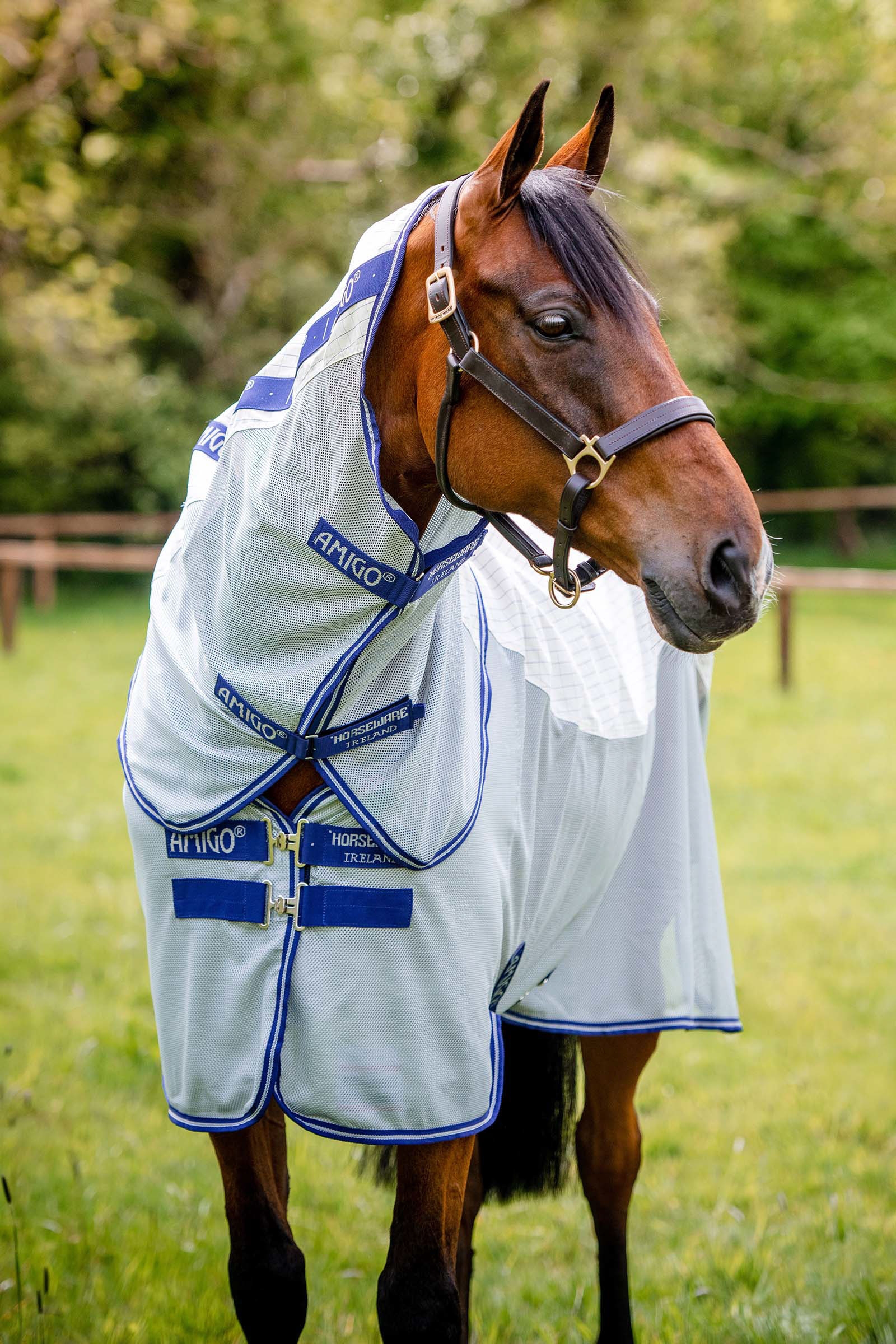 Horseware Amigo Airflow flueteppe med avtakbar nakkedel