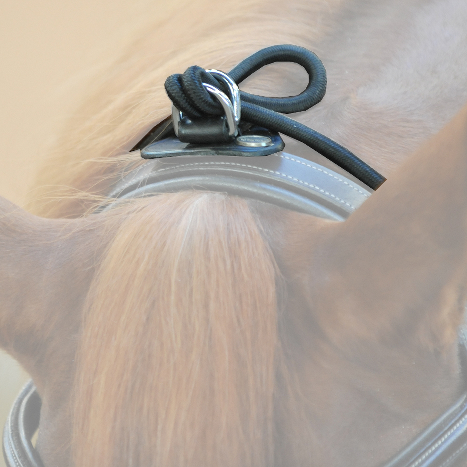 Kavalkade Bungie, elastisk