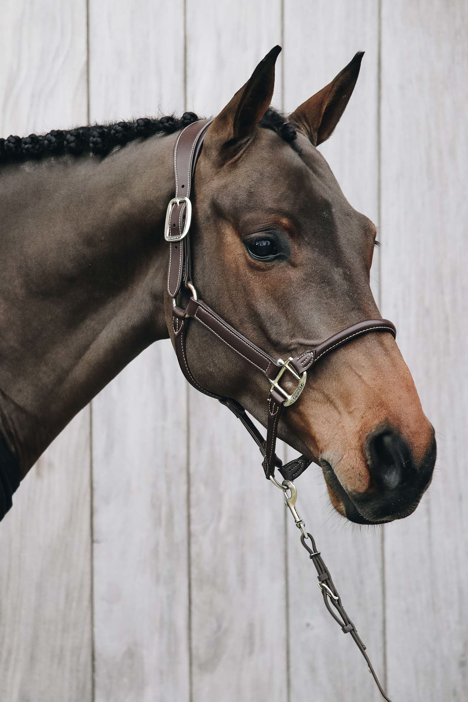 Kentucky Horsewear anatomisk l&aelig;rgrime