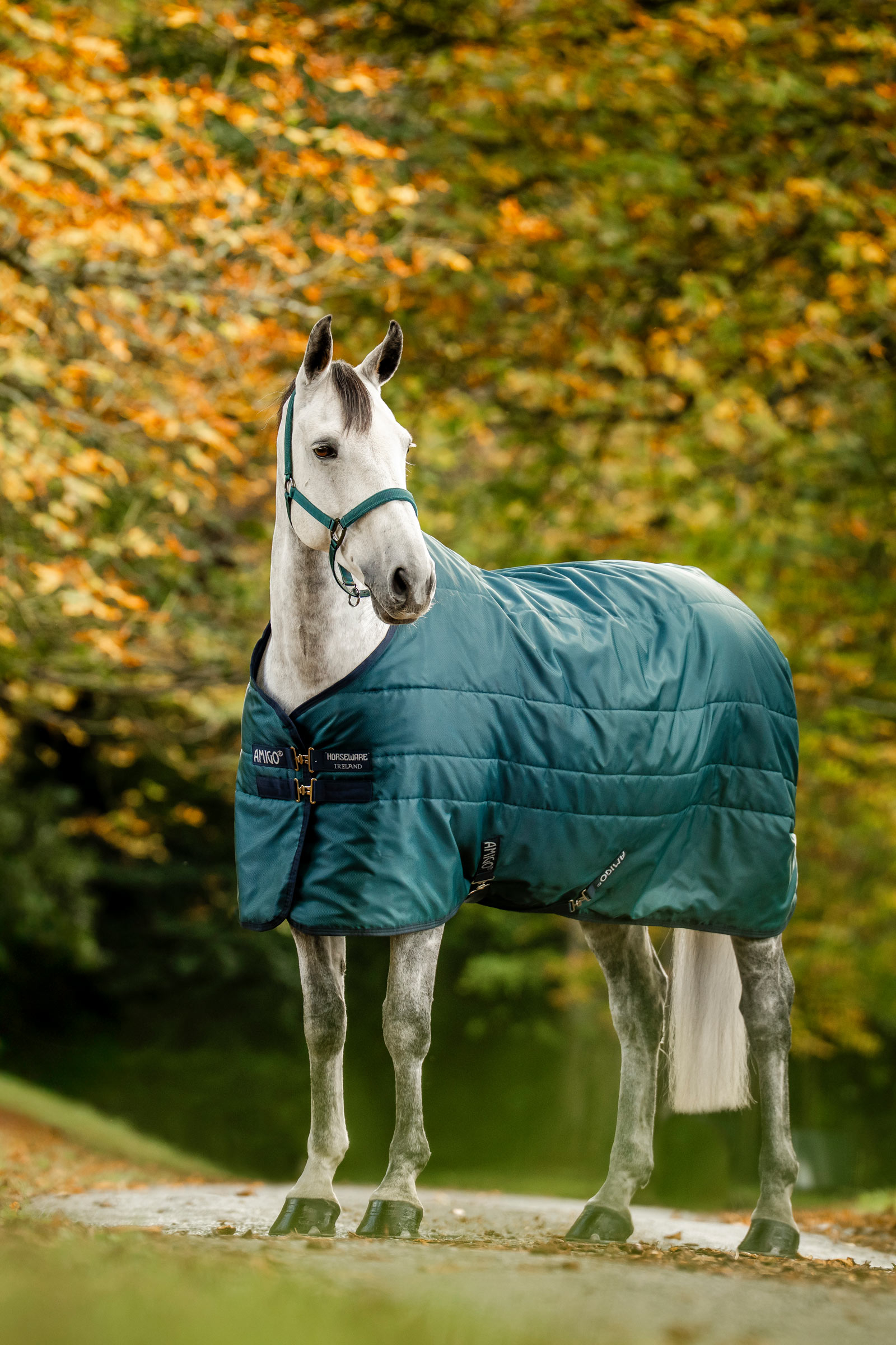 Horseware Amigo Ripstop stalldekken med fyll, 350 g