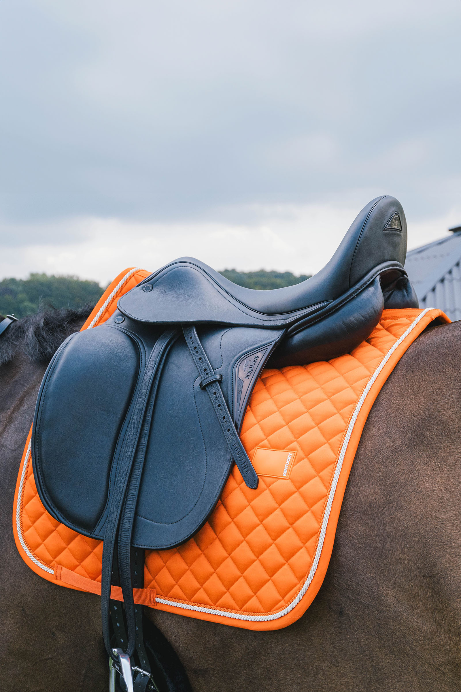 Kentucky Horsewear dressursjabrak Diamond Rope