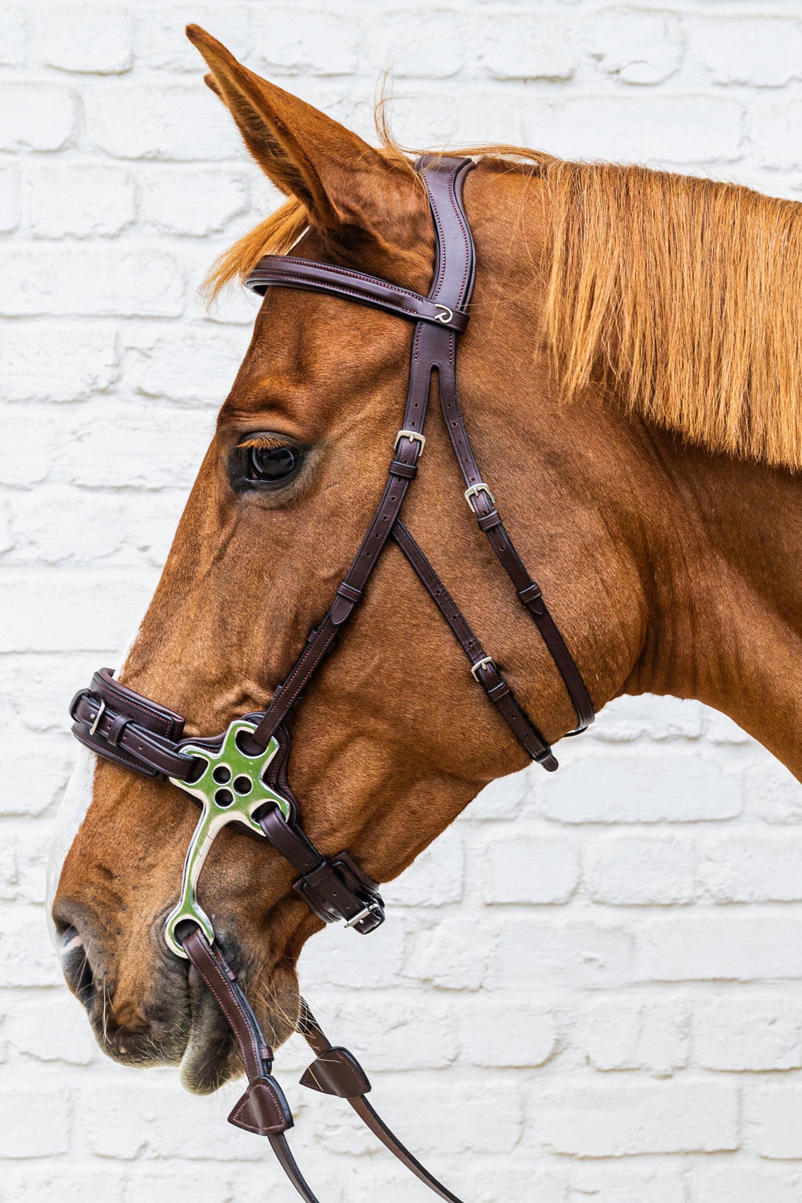 Dy'on New English Collection hackamore hodelag  