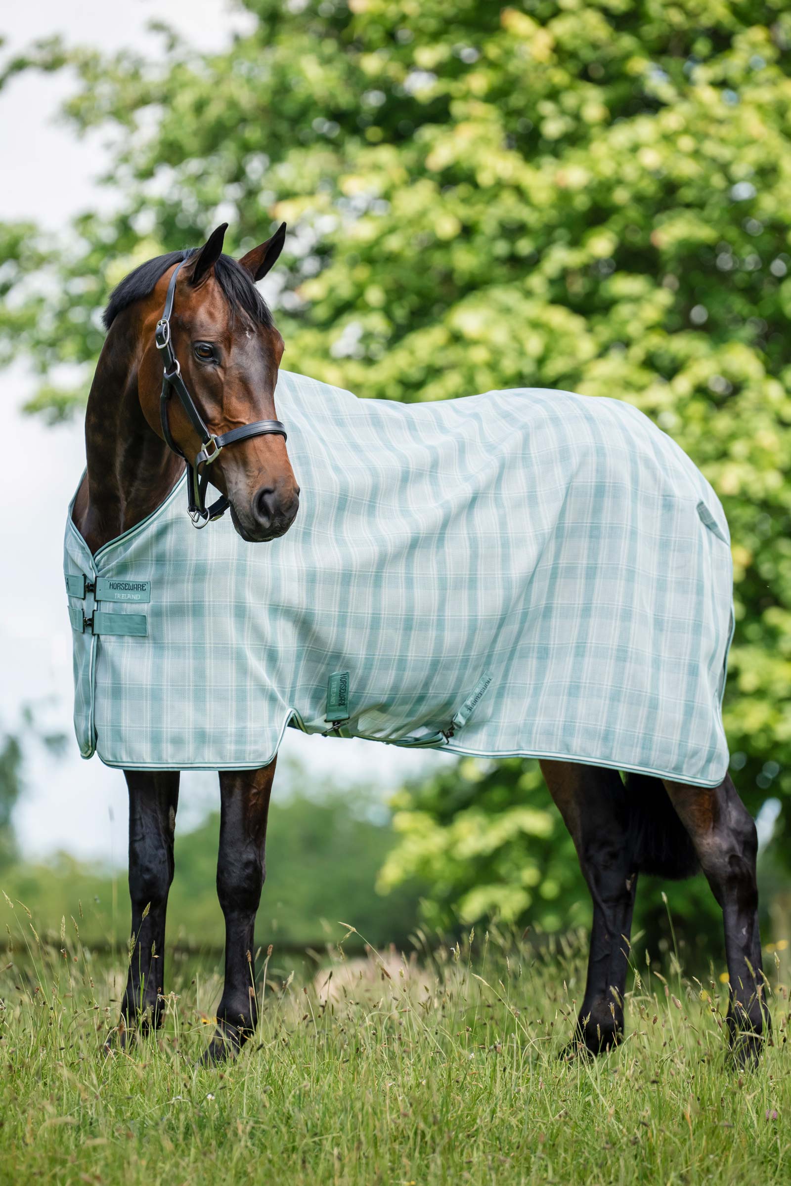 Horseware Newmarket fluedekken med UV-beskyttelse