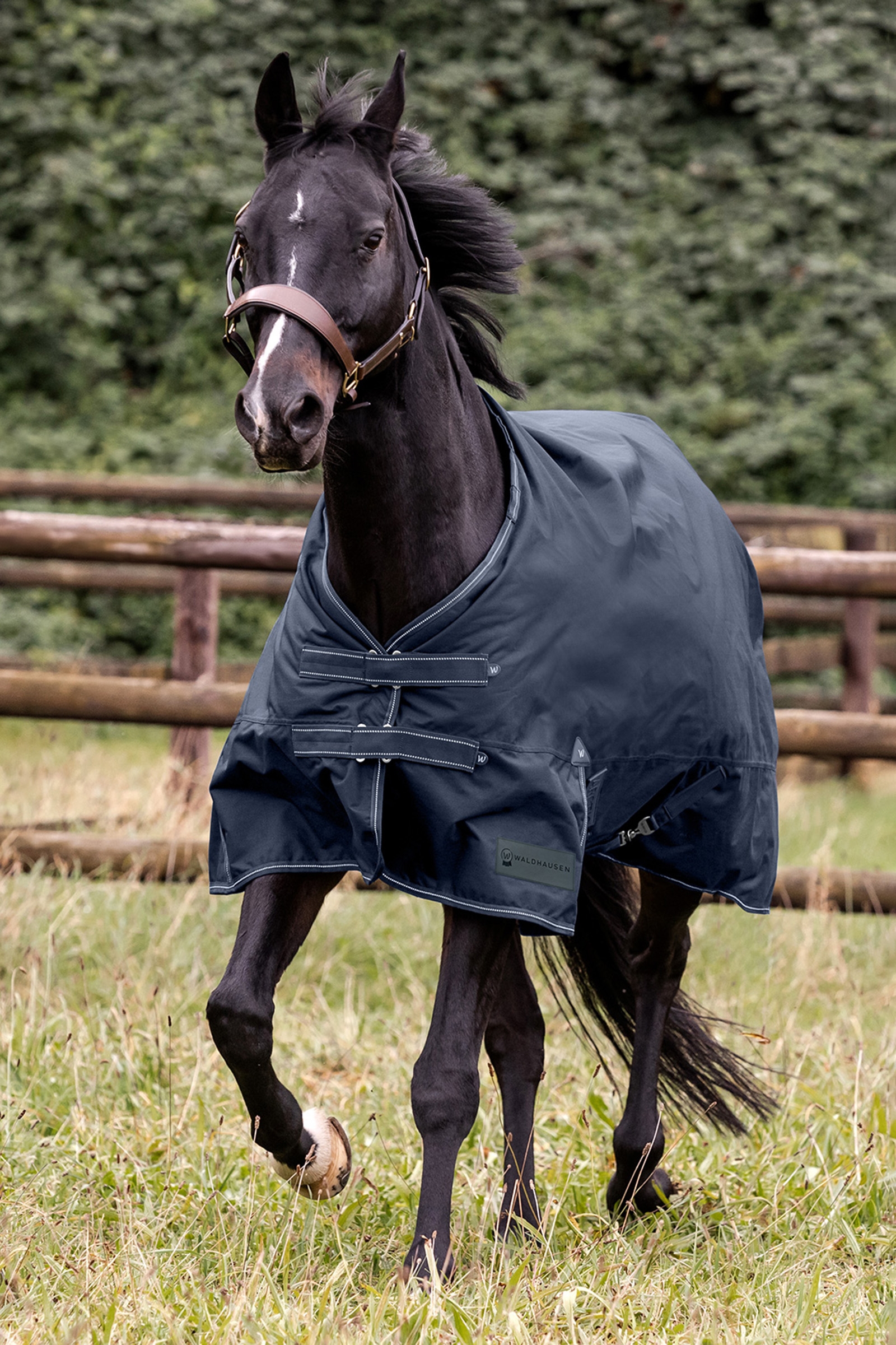 Waldhausen utend&oslash;rsteppe Arctic Light