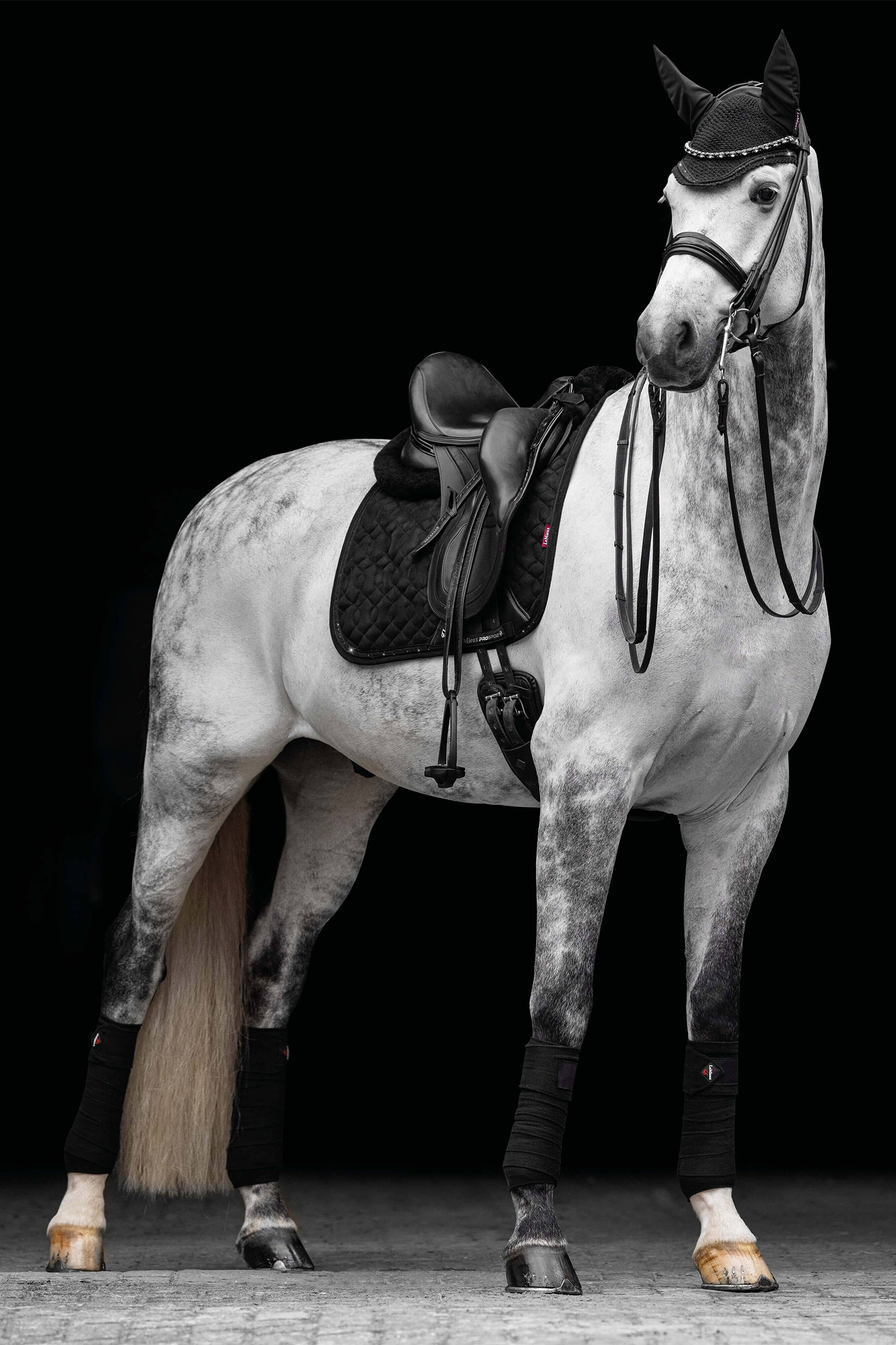 LeMieux Crystal Suede dressursjabrak