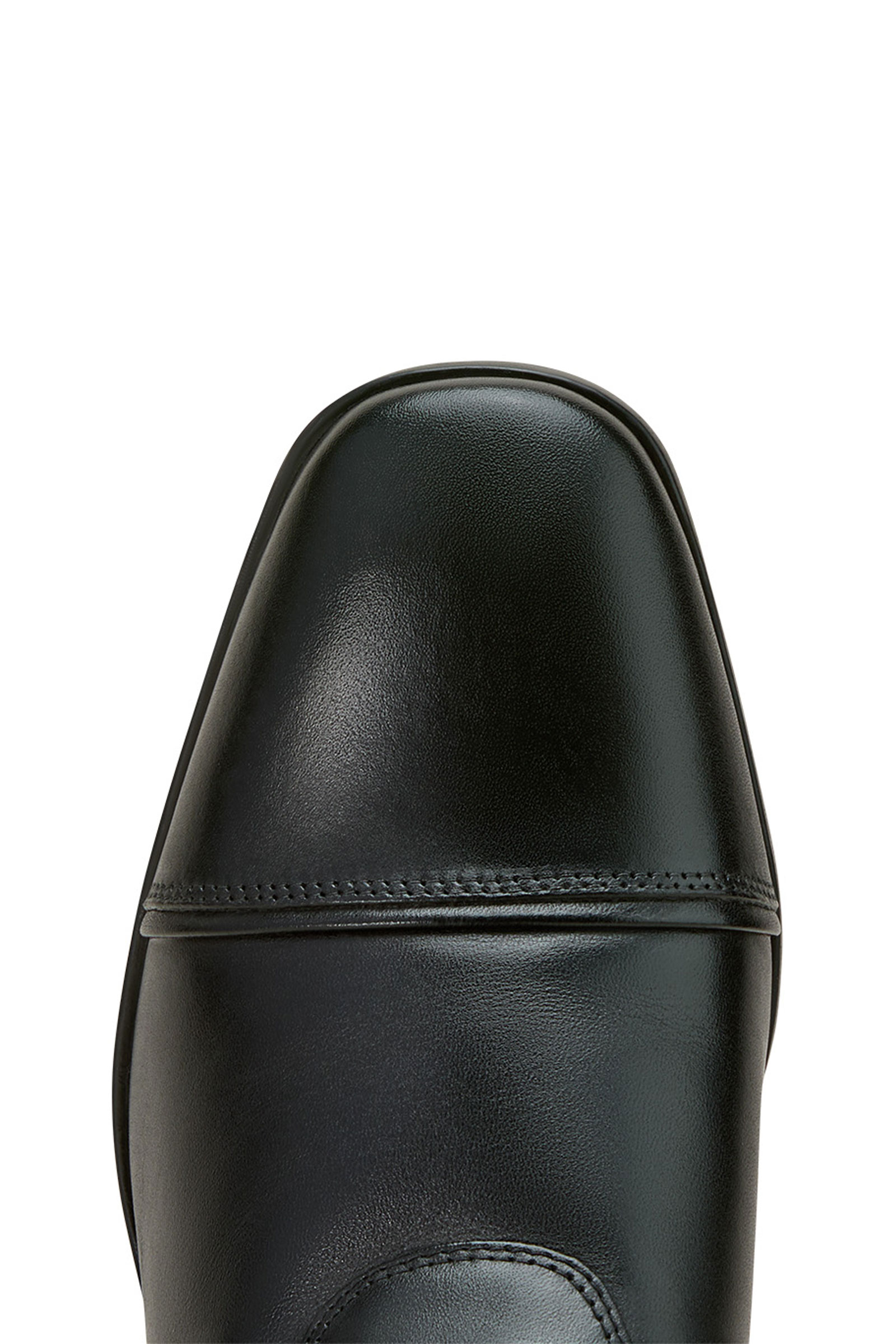 Ariat Palisade dame-dressurridestøvler  