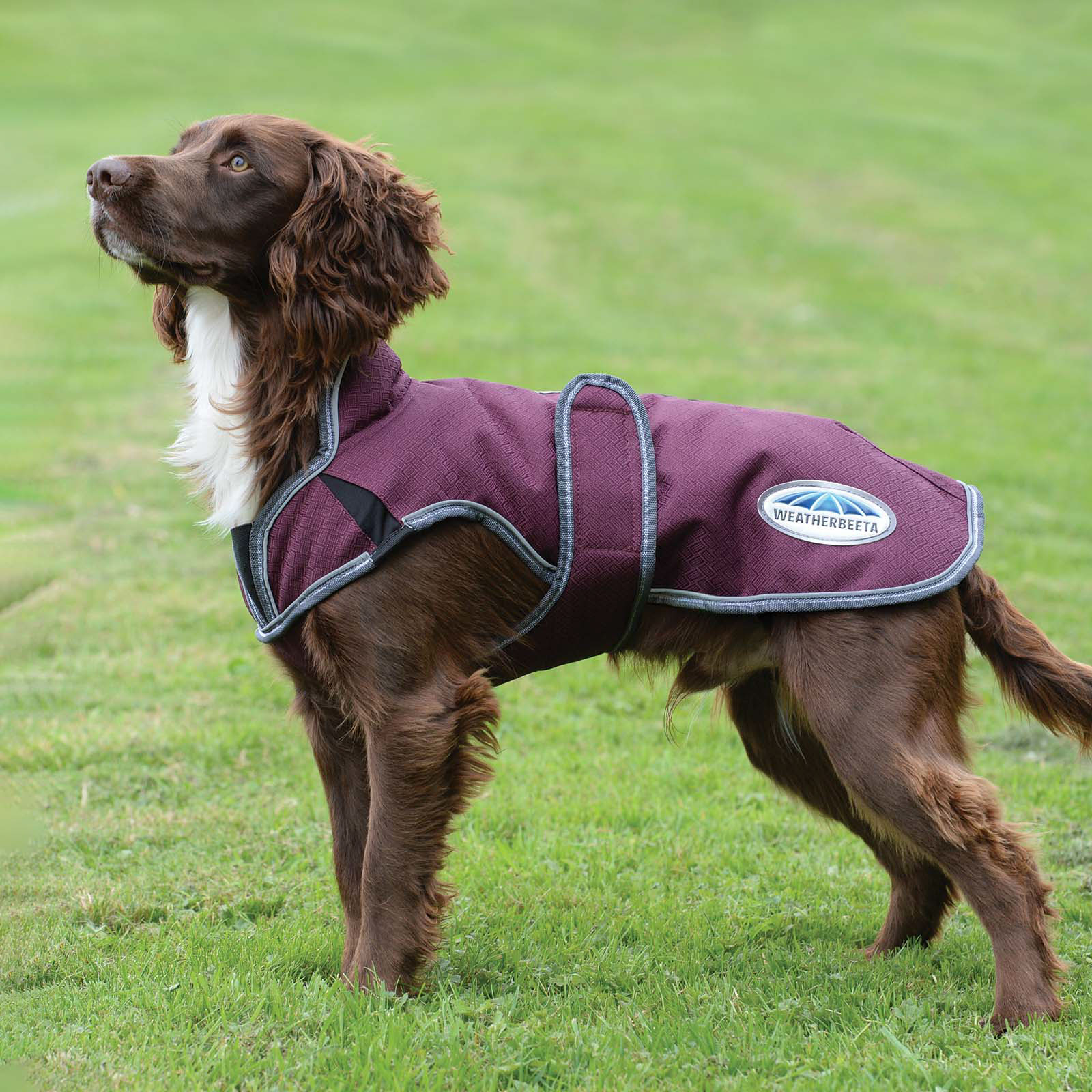 Weatherbeeta Comfitec Premier Free Parka Deluxe hundedekken, 220 gram