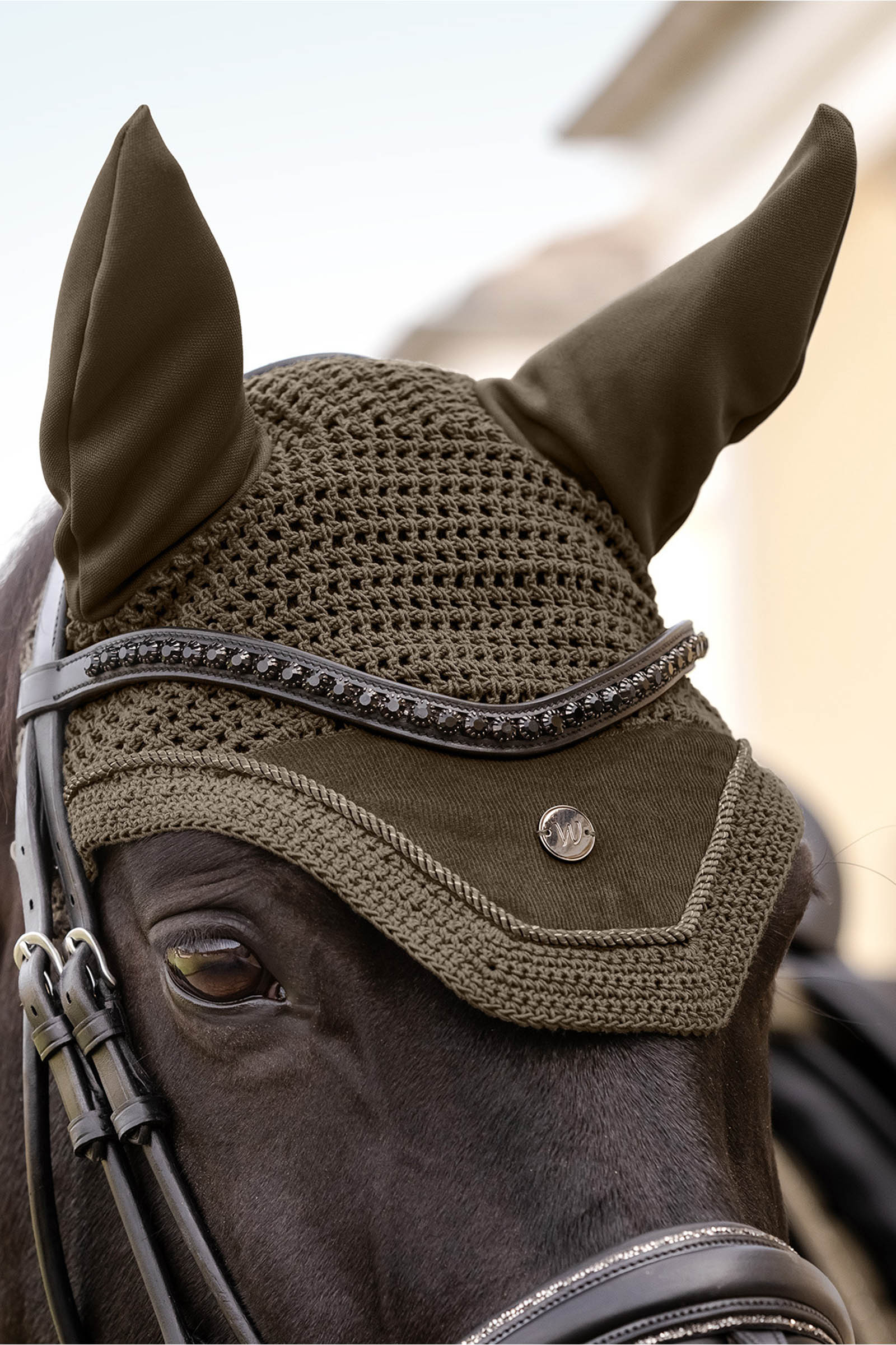 Waldhausen St. Gallen Flue&oslash;rer 