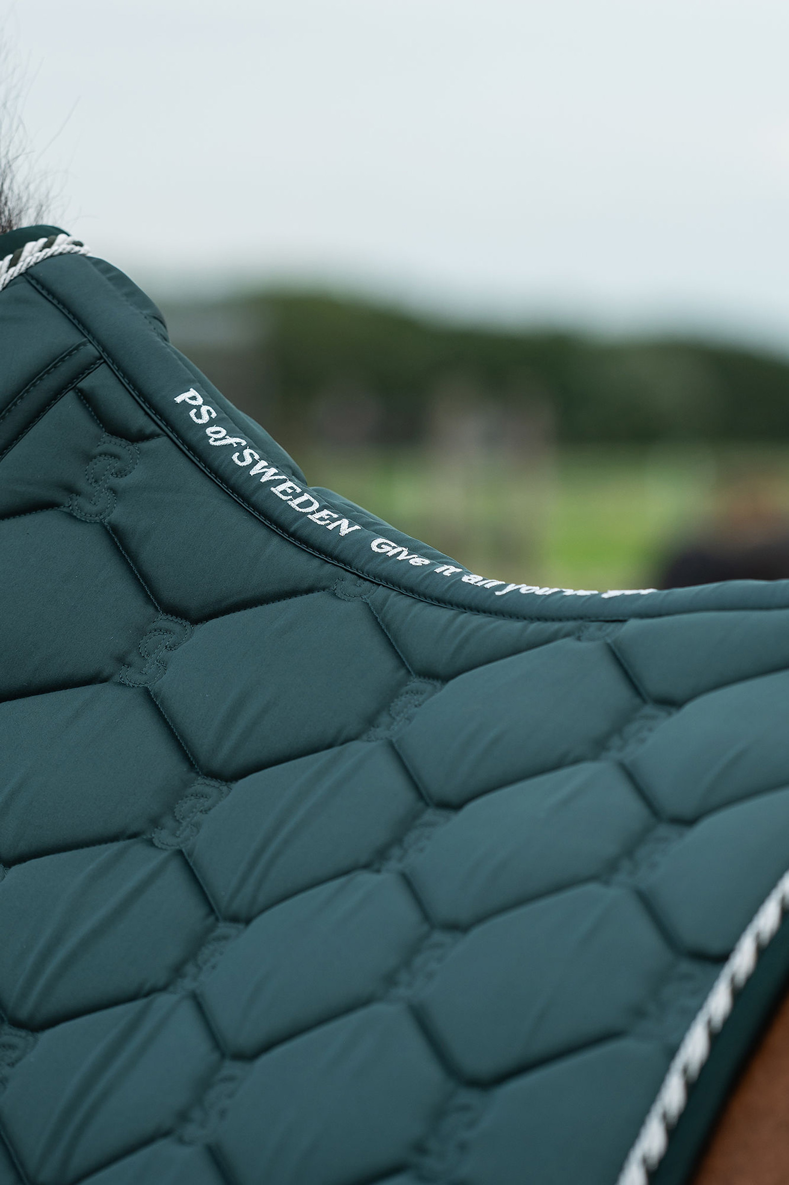 PS of Sweden Signature dressursjabrak