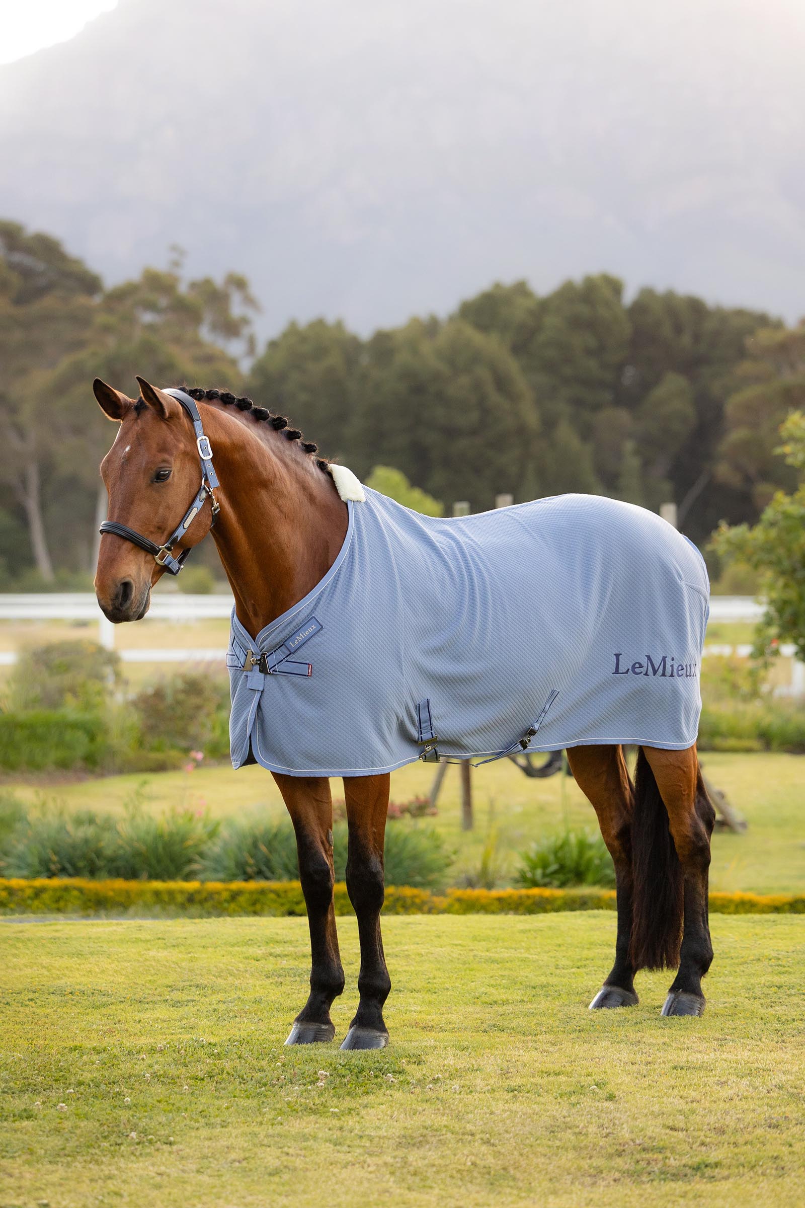 Powder Blue LeMieux Kudos bambus cooler dekken