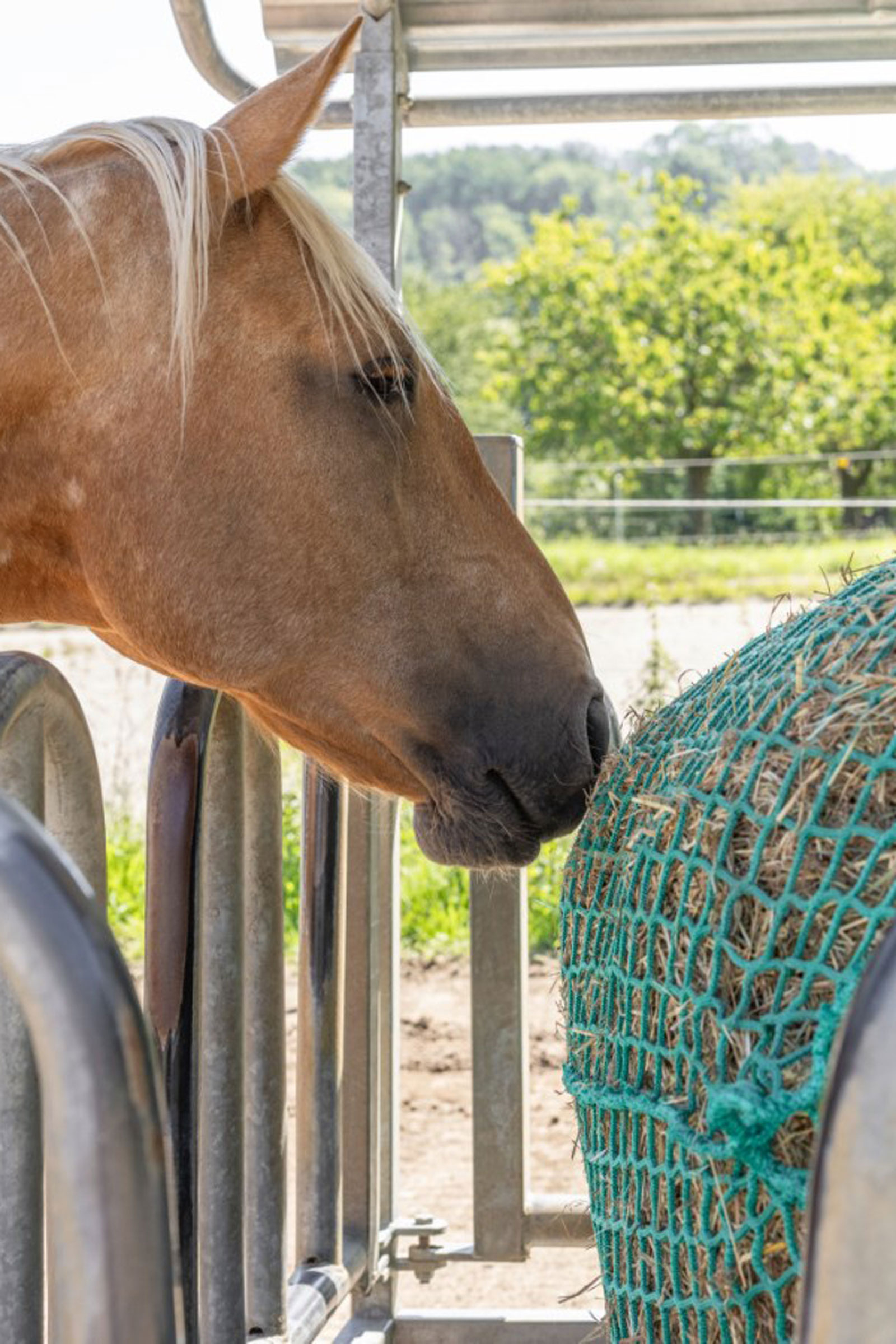 Kerbl h&oslash;ynett for rundballer, hengende