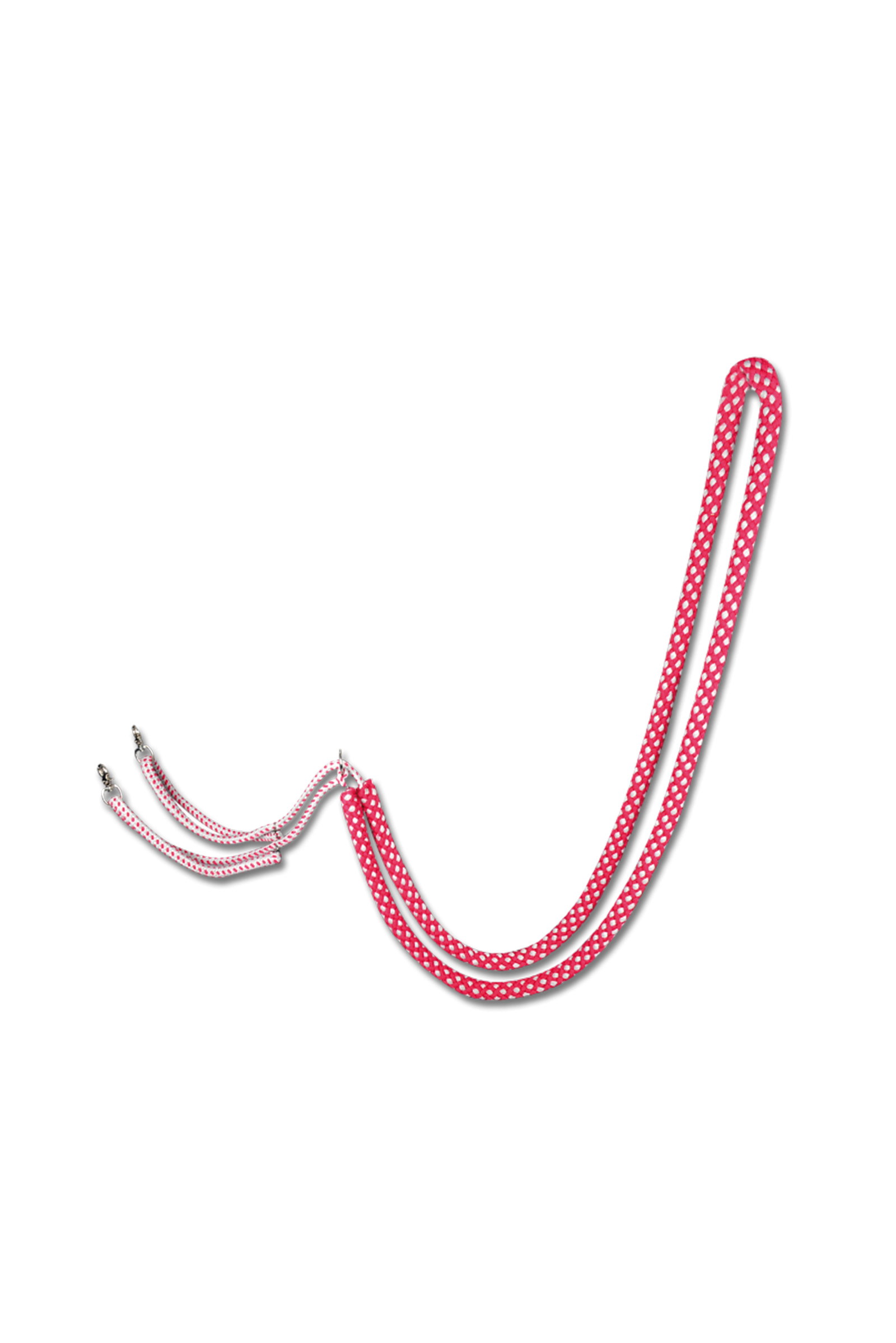 Waldhausen longeringshjelp